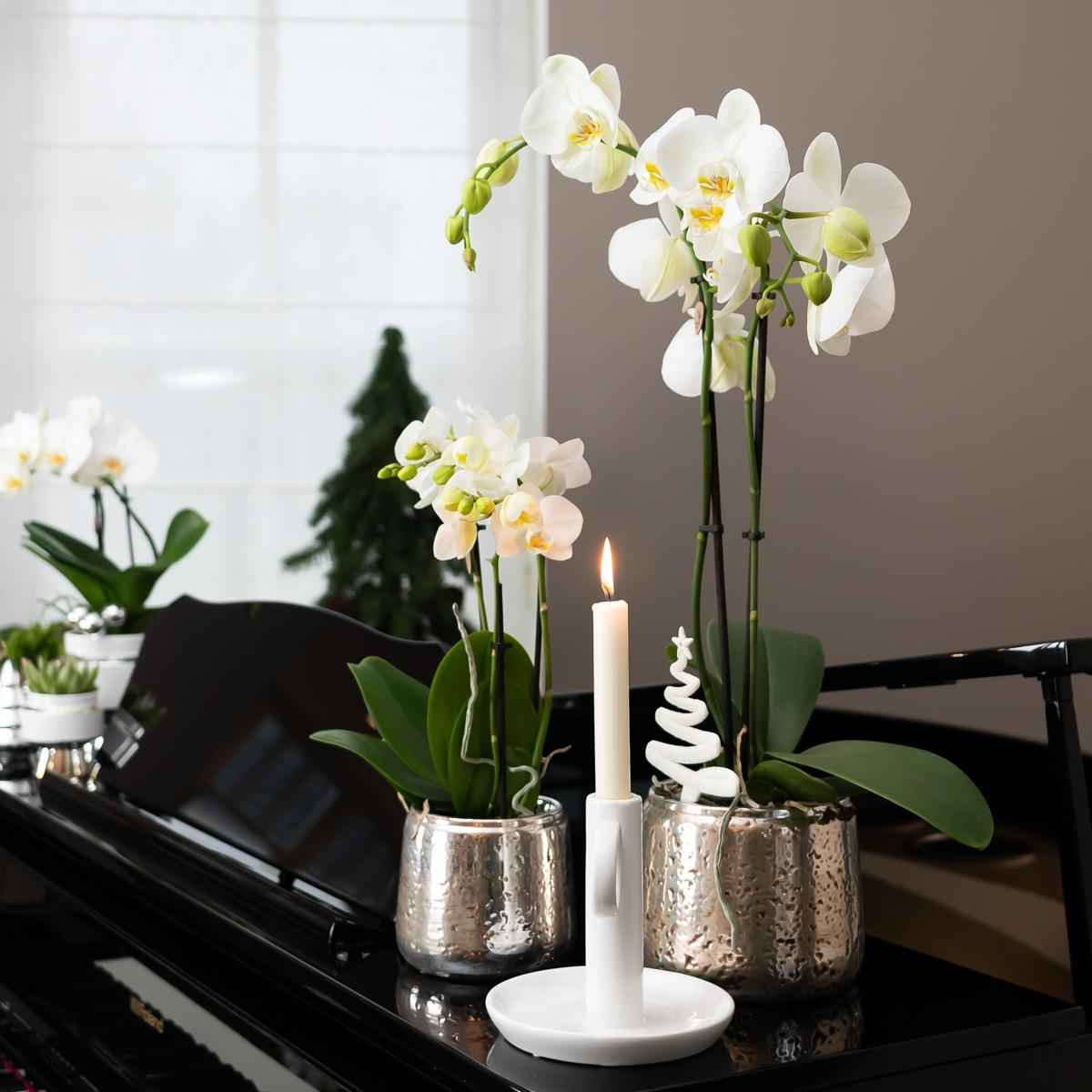 Image of Luxuriöser Blumentopf – Silberner Keramiktopf Ø6cm – Eleganter Ziertopf für kleine Pflanzen – Hochglanz – Dekoration für Wohnraum & Büro
