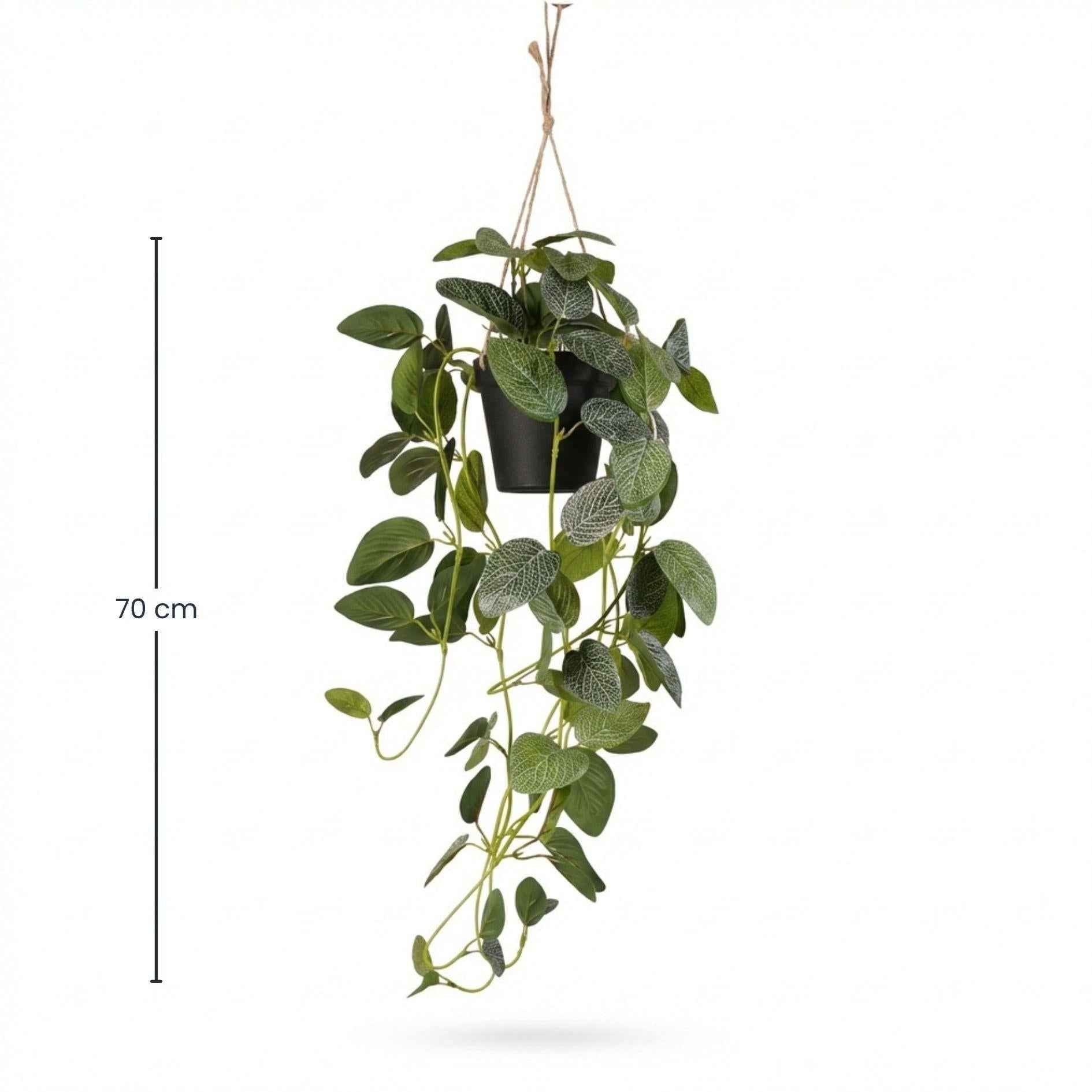 Image of Künstliche Fittonie Hängepflanze 70cm im schwarzen Topf – Kunstpflanze mit Seilaufhängung Ø9,5cm – realistische Ranken & grüne Blätter-3