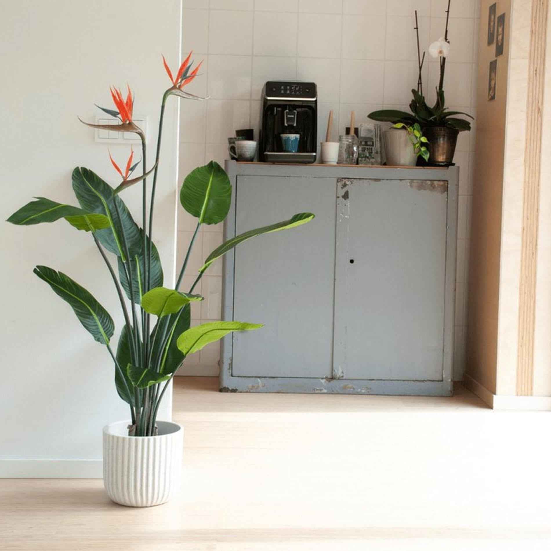 Image of Strelitzia mit Blüten – 120cm – Kunstpflanze – tropischer Blickfang – hochwertige Dekopflanze für Wohnzimmer, Büro & Flur – pflegeleicht-1