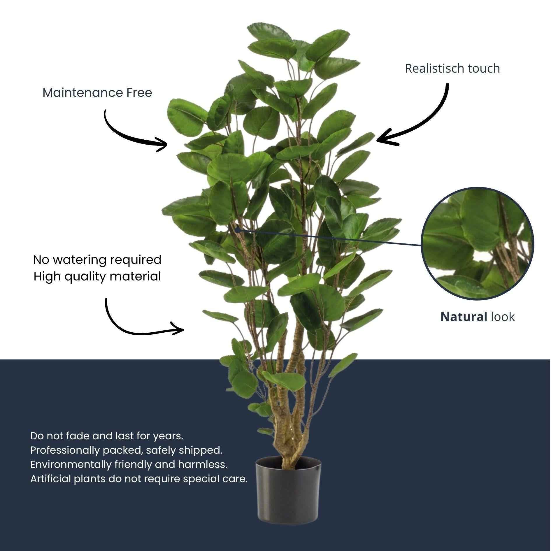 Image of Künstlicher Polysciasbaum 105cm im Topf – realistische Kunstpflanze mit feiner Verzweigung & kompakten Blättern – pflegefreie Zimmerdeko-3
