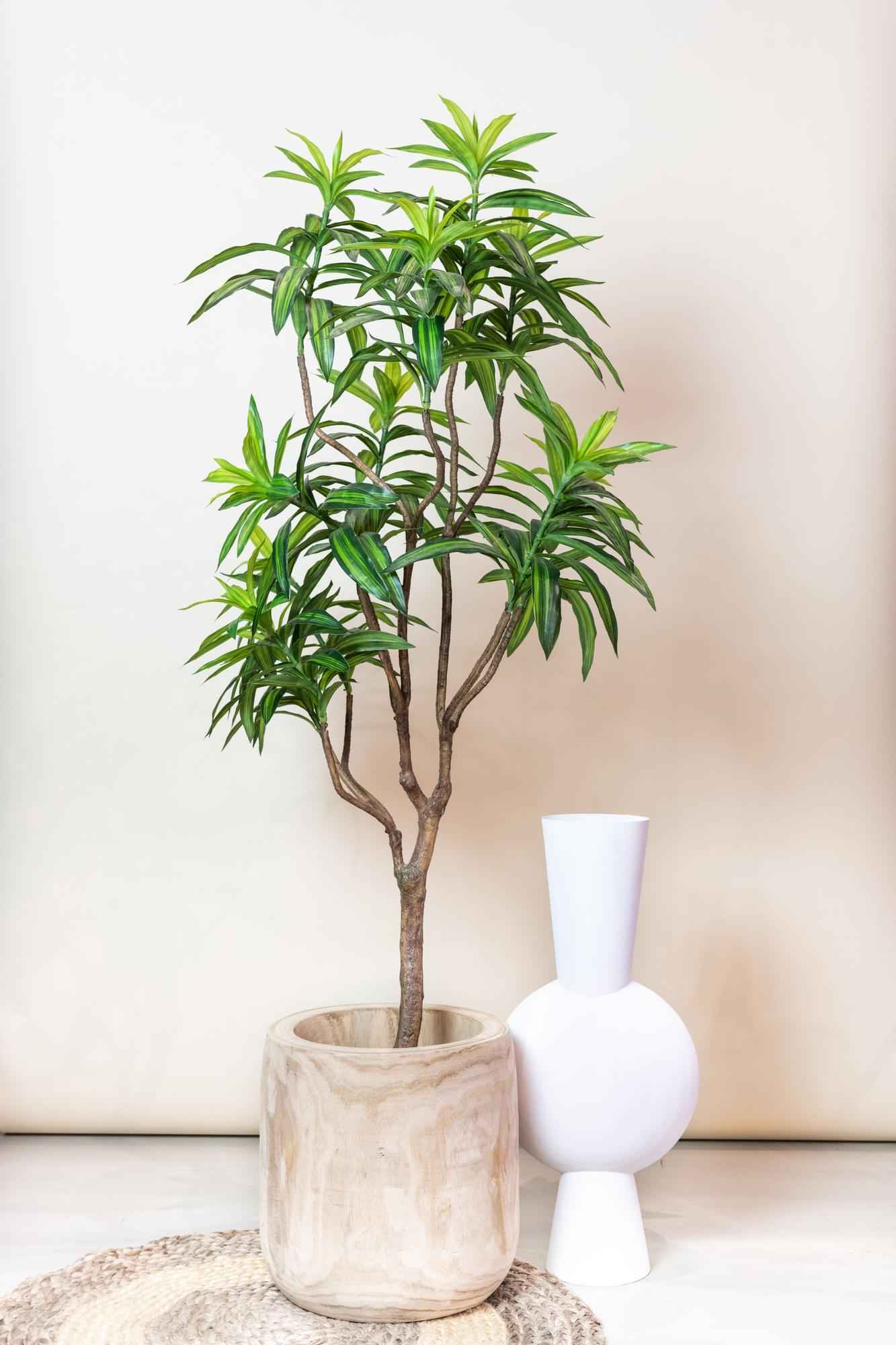 Image of Kunstpflanze Dracaena – Drachenbaum 155cm – Täuschend echt mit zweifarbigen Blättern – Pflegefreier Kunstbaum für Wohnung & Büro