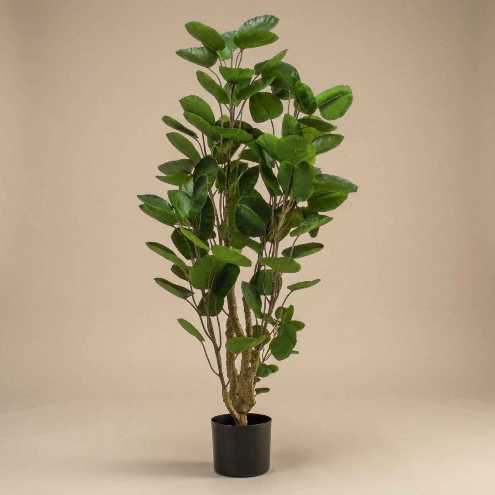 Image of Künstlicher Polysciasbaum 105cm im Topf – realistische Kunstpflanze mit feiner Verzweigung & kompakten Blättern – pflegefreie Zimmerdeko-1