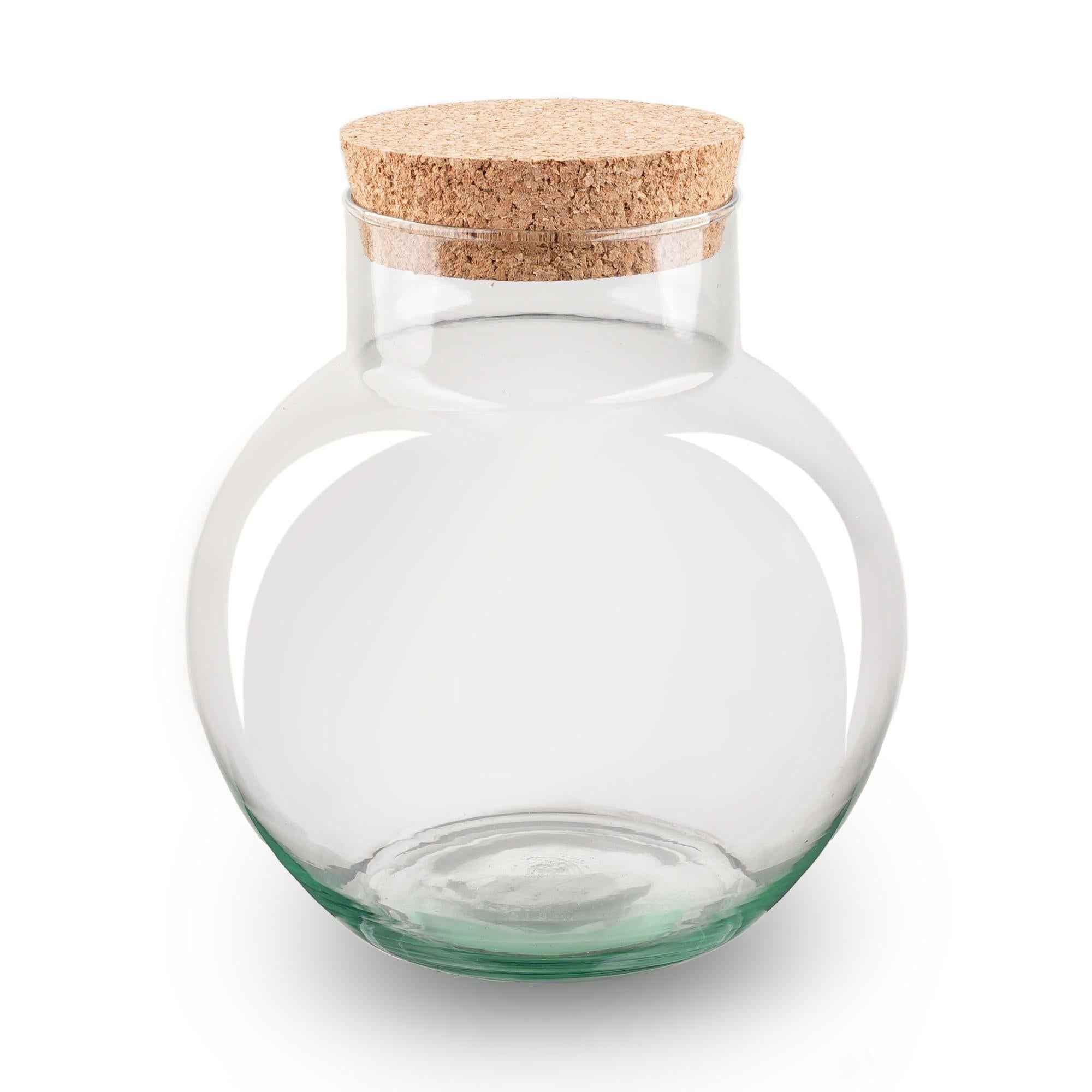 Image of Terrarium Flasche – Geschlossene Glasflasche mit Korken – Höhe 20cm Ø18,5cm – Pflanzenterrarium aus Recyclingglas – Dekoratives Mini-0