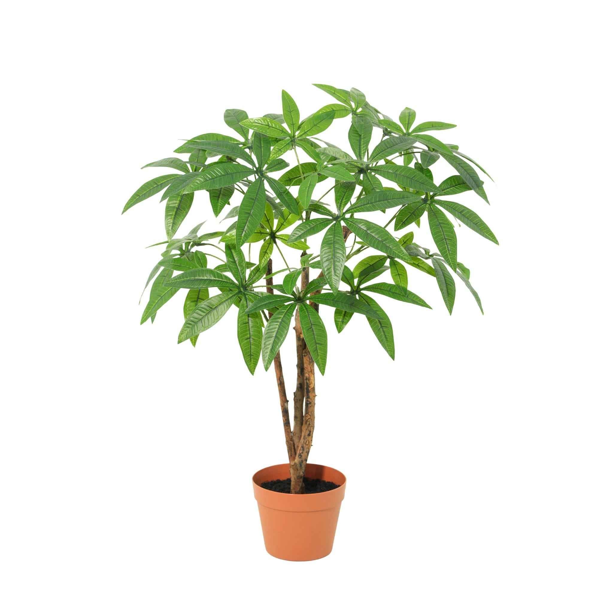 Image of Kunstpflanze Pachira Aquatica 86cm – künstlicher Glückskastanien – Baum im Topf-0