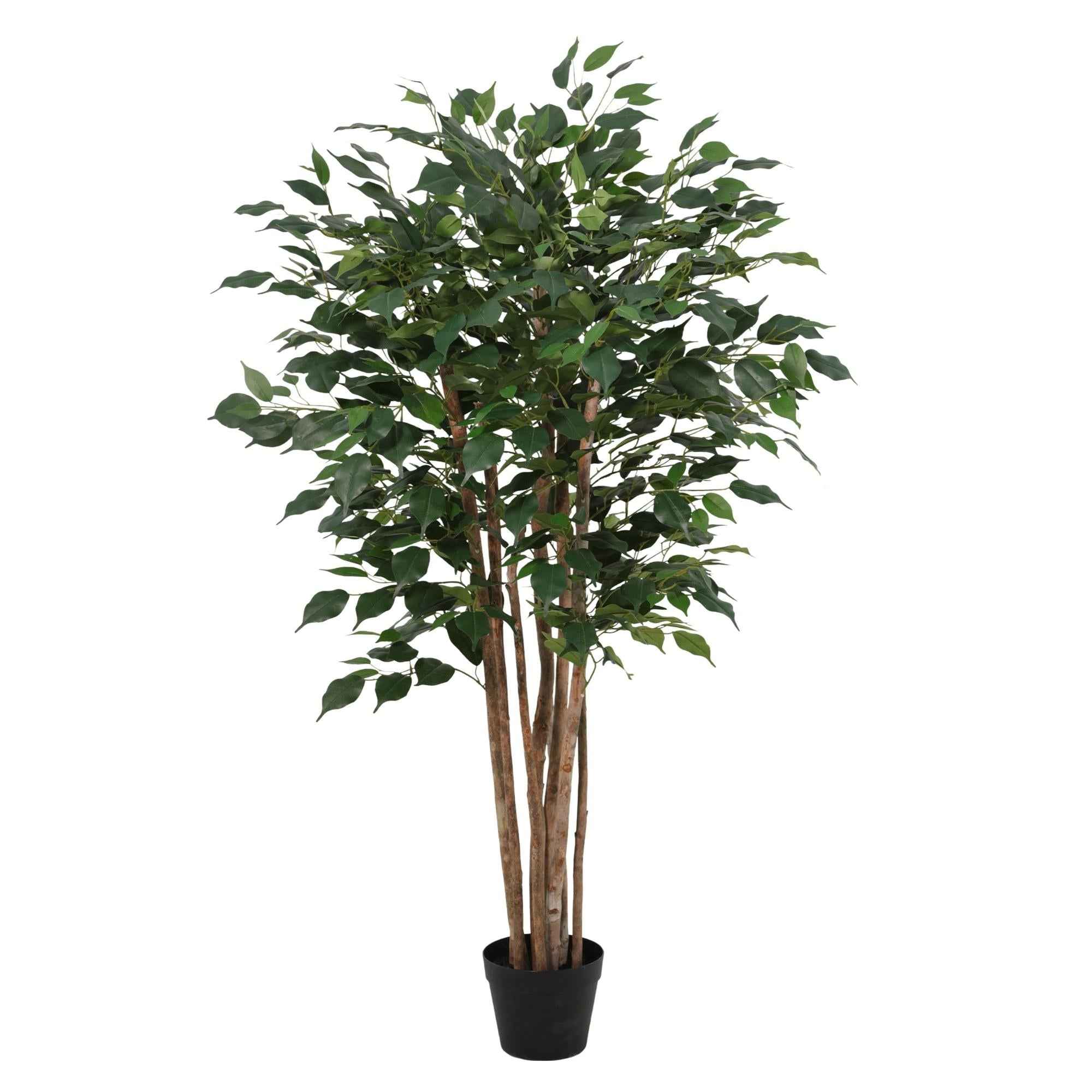 Image of Kunstpflanze Ficus Benjamina 150cm – künstlicher Birkenfeigen – Baum im Topf – realistische Blätter & natürlicher Wuchs – pflegeleichte Grün-0
