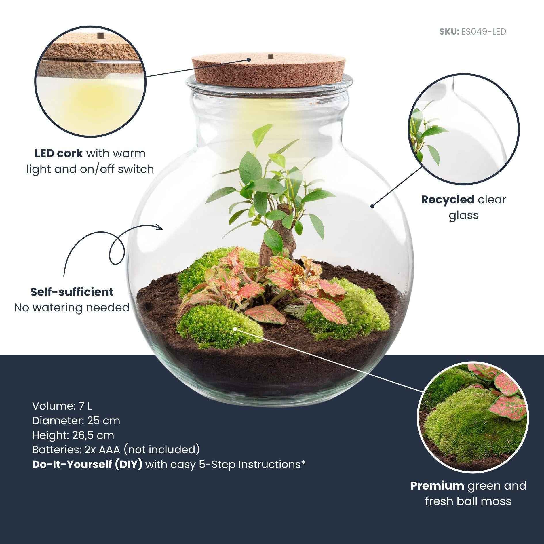 Image of Flaschengarten Teddy – Bonsai – Ø25cm ↕26,5cm – Pflanzenterrarium mit LED – Kork – DIY Bausatz mit Ficus Ginseng Bonsai, Fittonia & Moos-1
