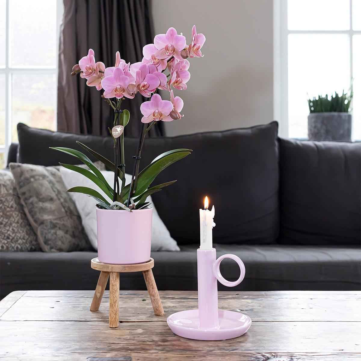 Image of Simplicity Blumentopf – Rosa – 9cm – Moderner Pflanztopf mit glatter Oberfläche – Dekorativer Übertopf für Zimmerpflanzen, Balkon & Büro-2