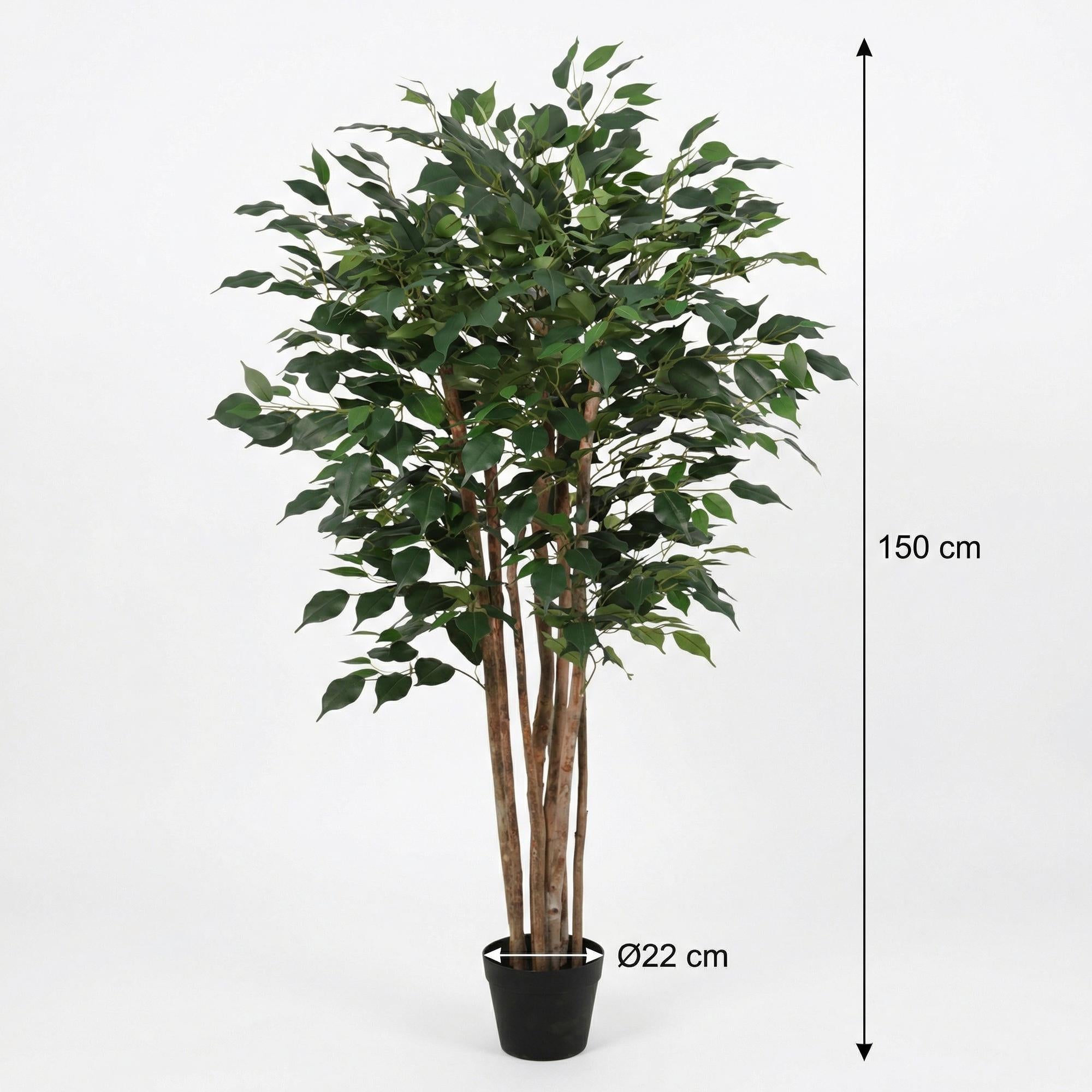 Image of Kunstpflanze Ficus Benjamina 150cm – künstlicher Birkenfeigen – Baum im Topf – realistische Blätter & natürlicher Wuchs – pflegeleichte Grün-1