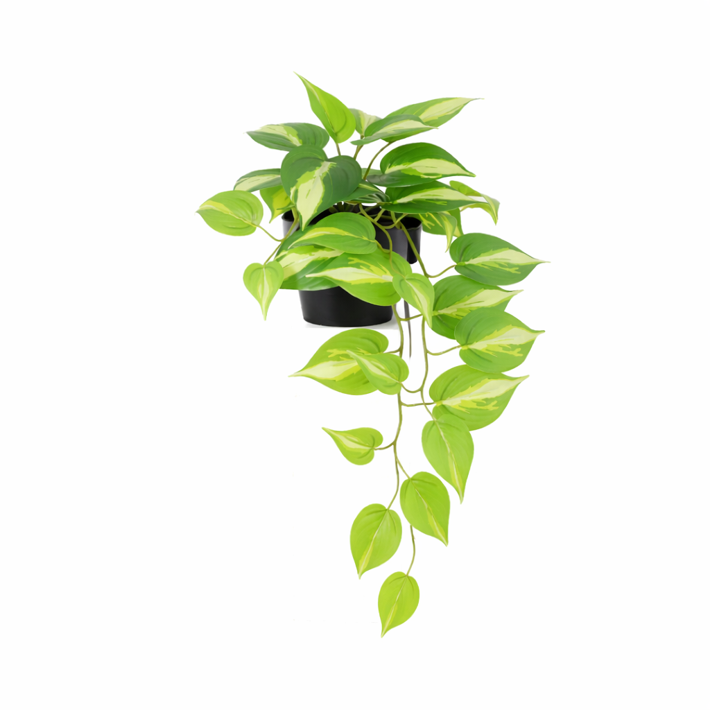Image of Künstliches Epipremnum Variegata 37cm Kunstpflanze mit panaschierten Blättern für Wohnzimmer Büro Badezimmer Regal pflegefreie grüne Wohnraum Deko-0