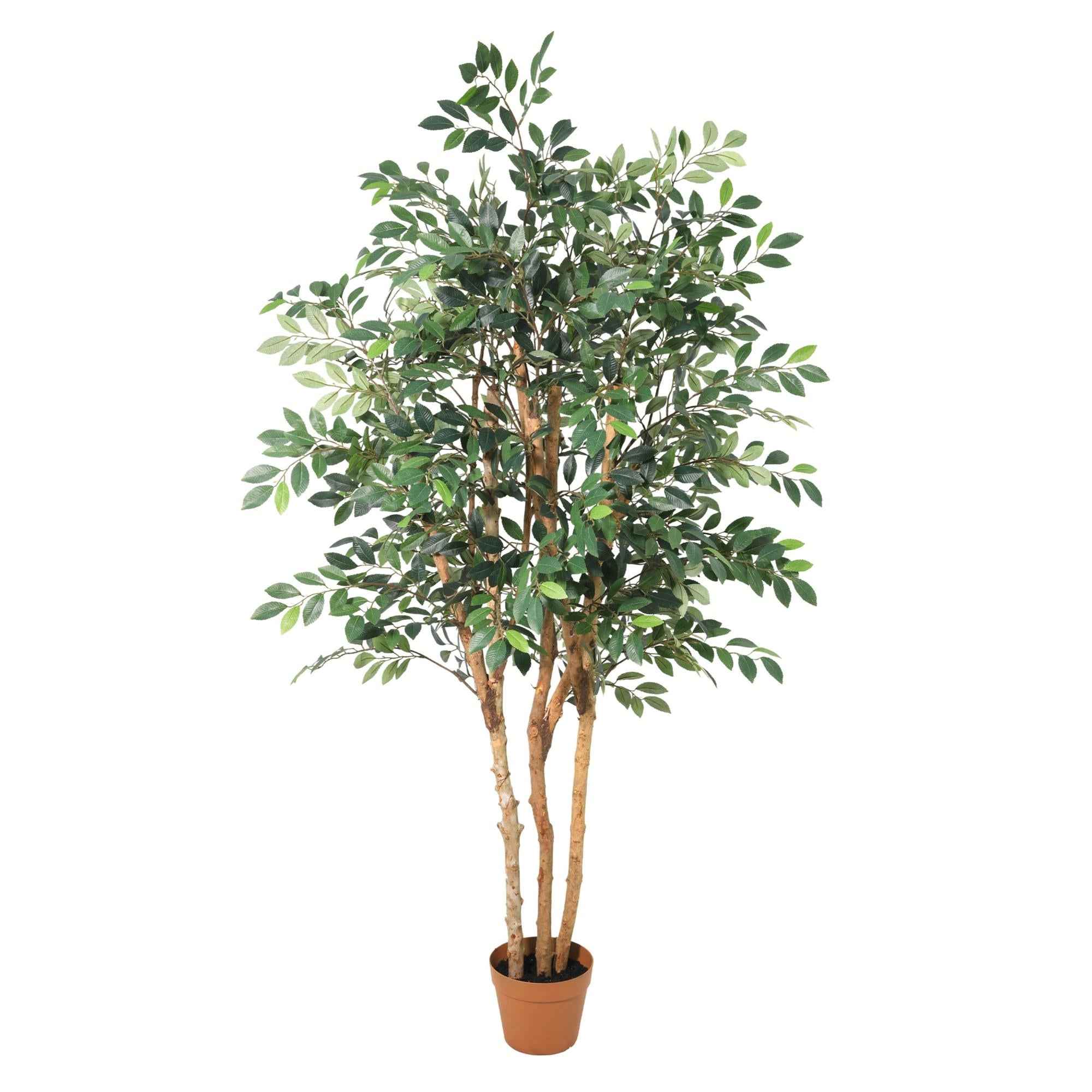 Image of Kunstpflanze Ficus Exotica 150cm – künstlicher Deko – Baum im Topf-0