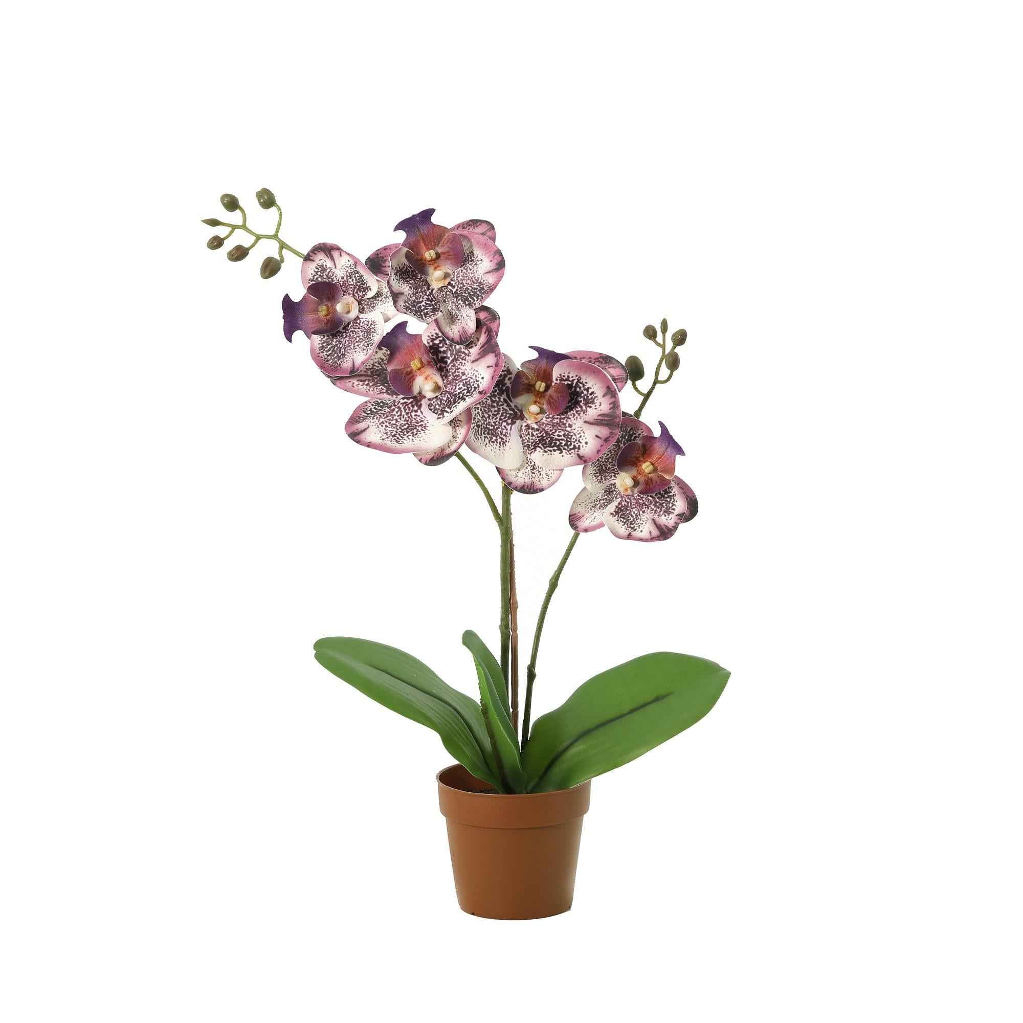 Image of Künstliche Phalaenopsis Orchidee lila 41cm Kunstpflanze blühende Orchidee für Wohnzimmer Büro Schlafzimmer Badezimmer pflegefreie Wohnraum Deko-0