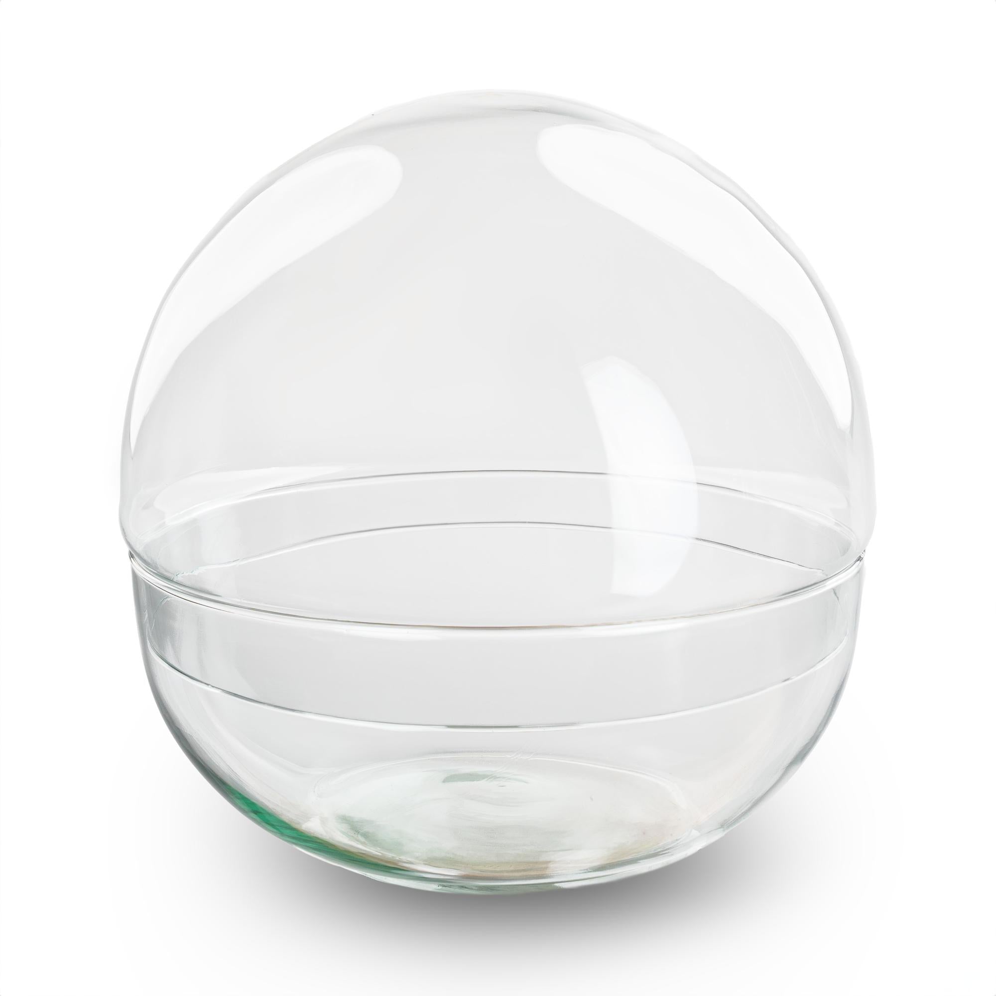 Image of Terrarium – Glaskuppel Dome – zweiteilig – Ø20cm ↕20cm – Runde Glasflasche aus Recyclingglas – Ideal für DIY – Pflanzenterrarien & Mini – Ökosysteme-0
