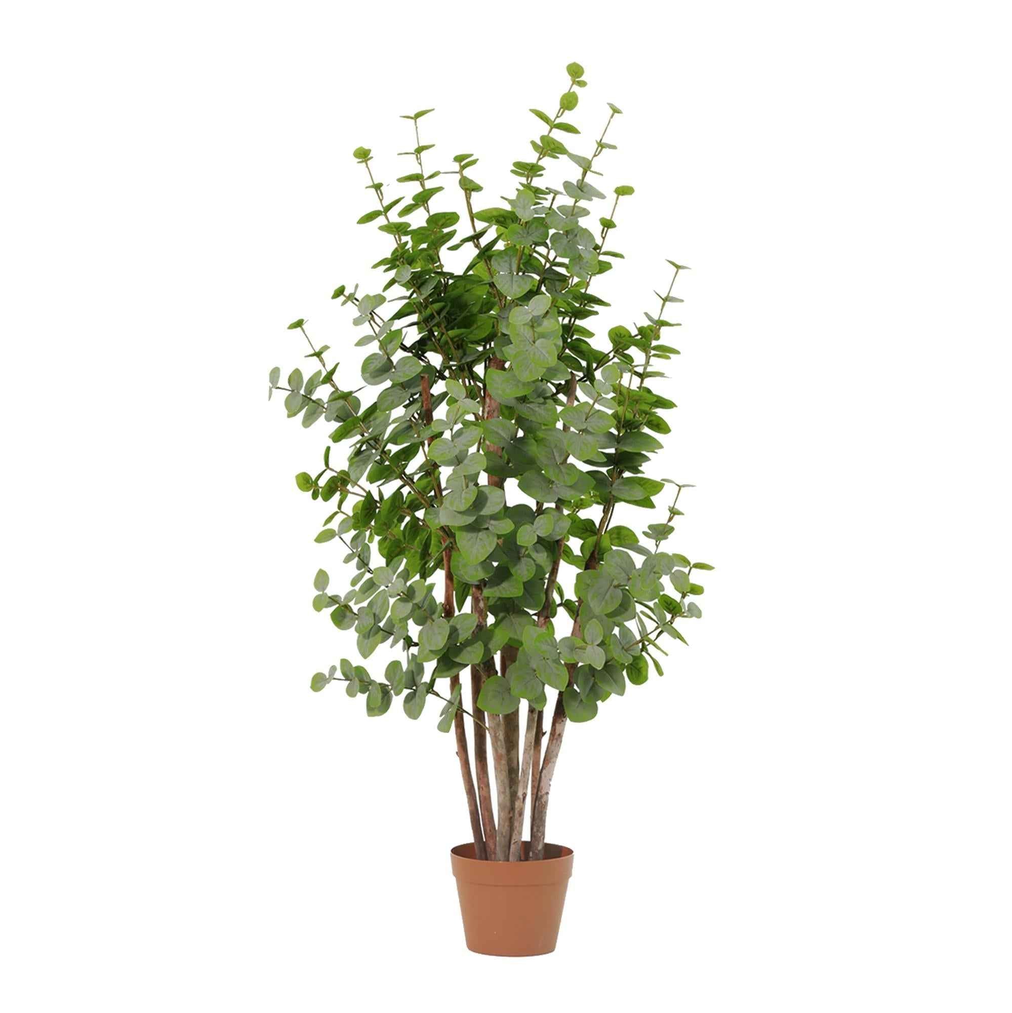 Image of Künstlicher Eukalyptus Green 120cm im Topf – realistische Kunstpflanze mit luftiger Blattstruktur – ganzjährig grün, inkl Basistopf-0