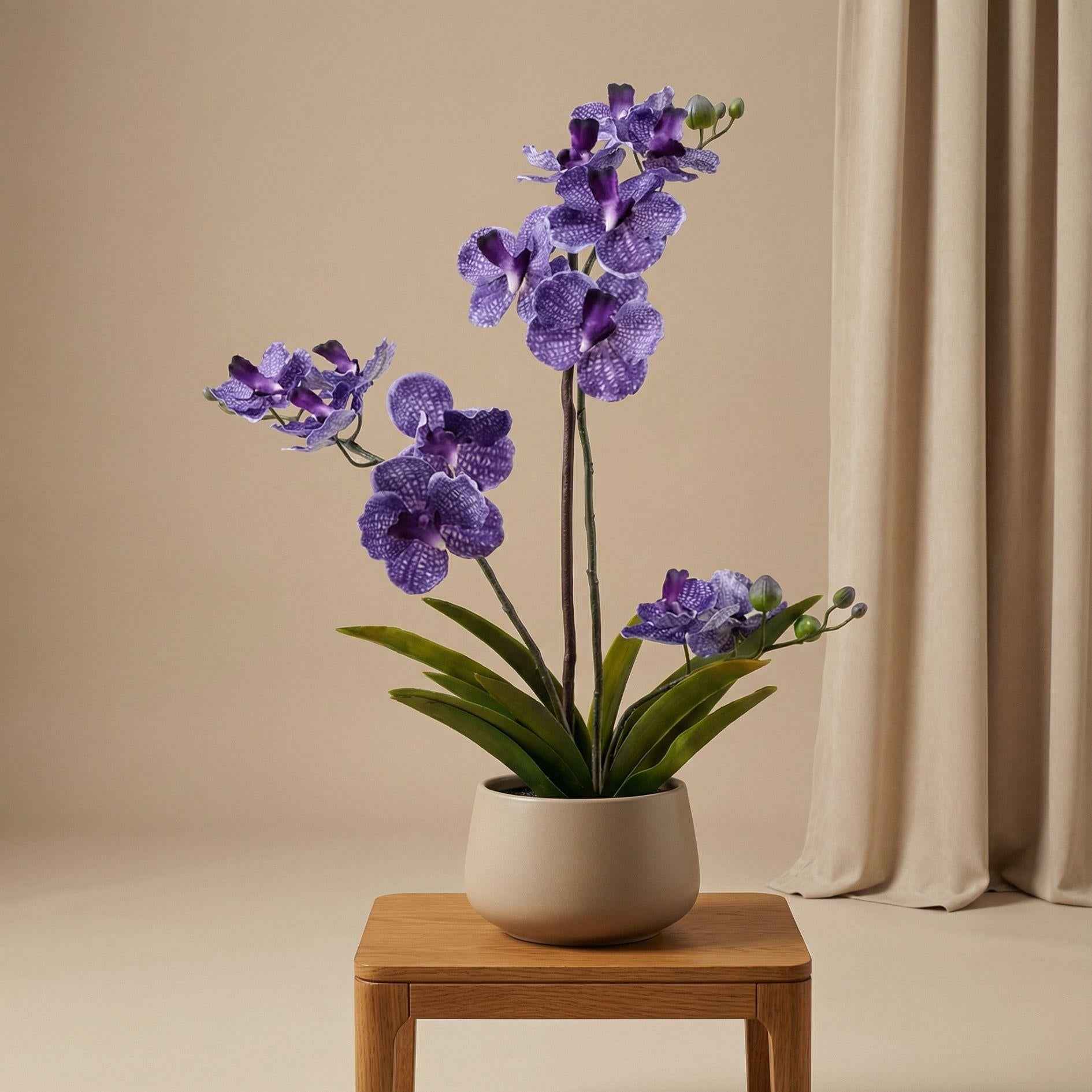 Image of Orchidee Vanda Kunstpflanze – ca.60cm – Violett – Künstliche Orchidee im Topf – Pflegefreie Dekopflanze für Wohnzimmer Büro & Empfang-1