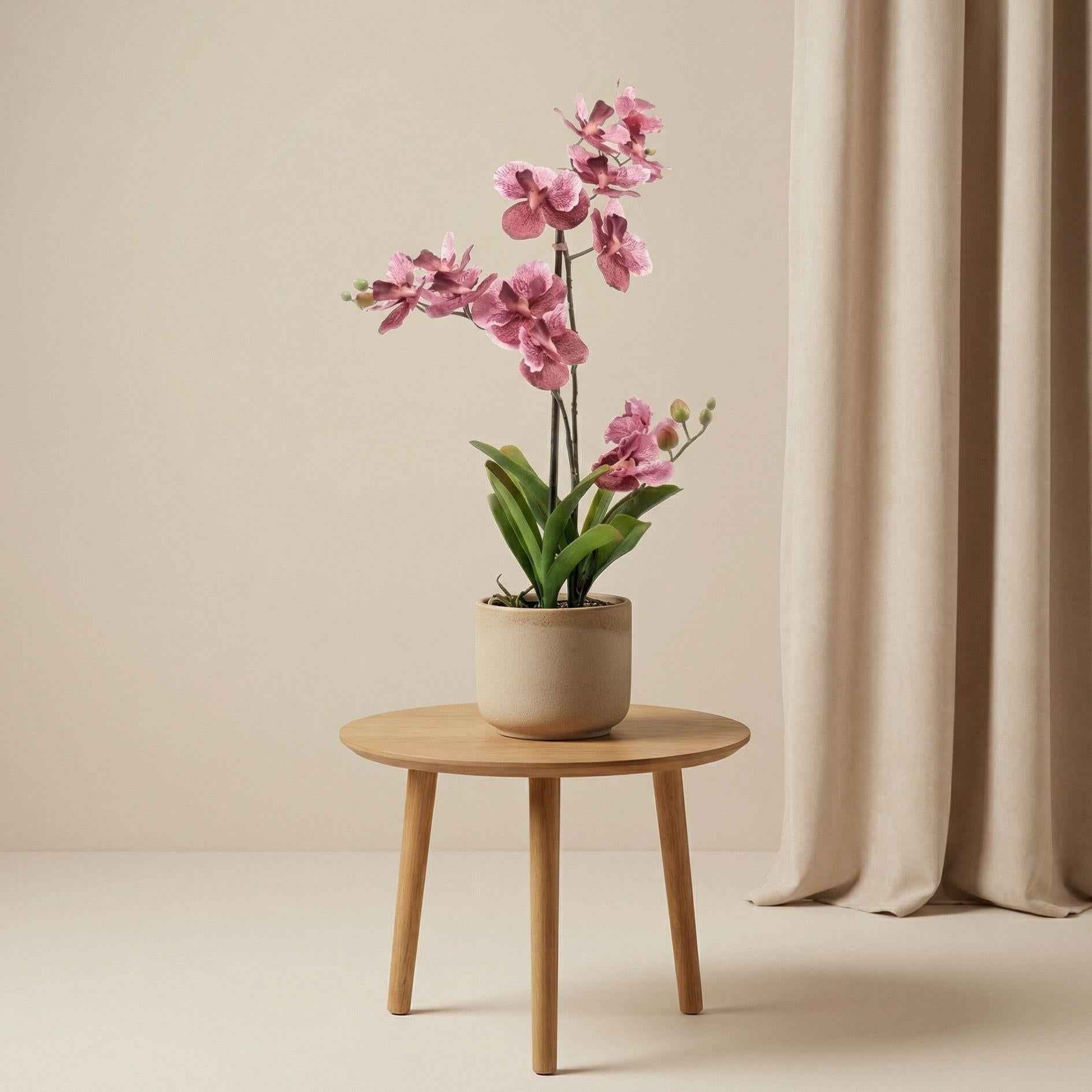 Image of Orchidee Vanda Kunstpflanze – ca.60cm – Altrosa – Künstliche Orchidee im Topf – Pflegefreie Deko Pflanze für Wohnzimmer Büro & Empfangsbereich-1