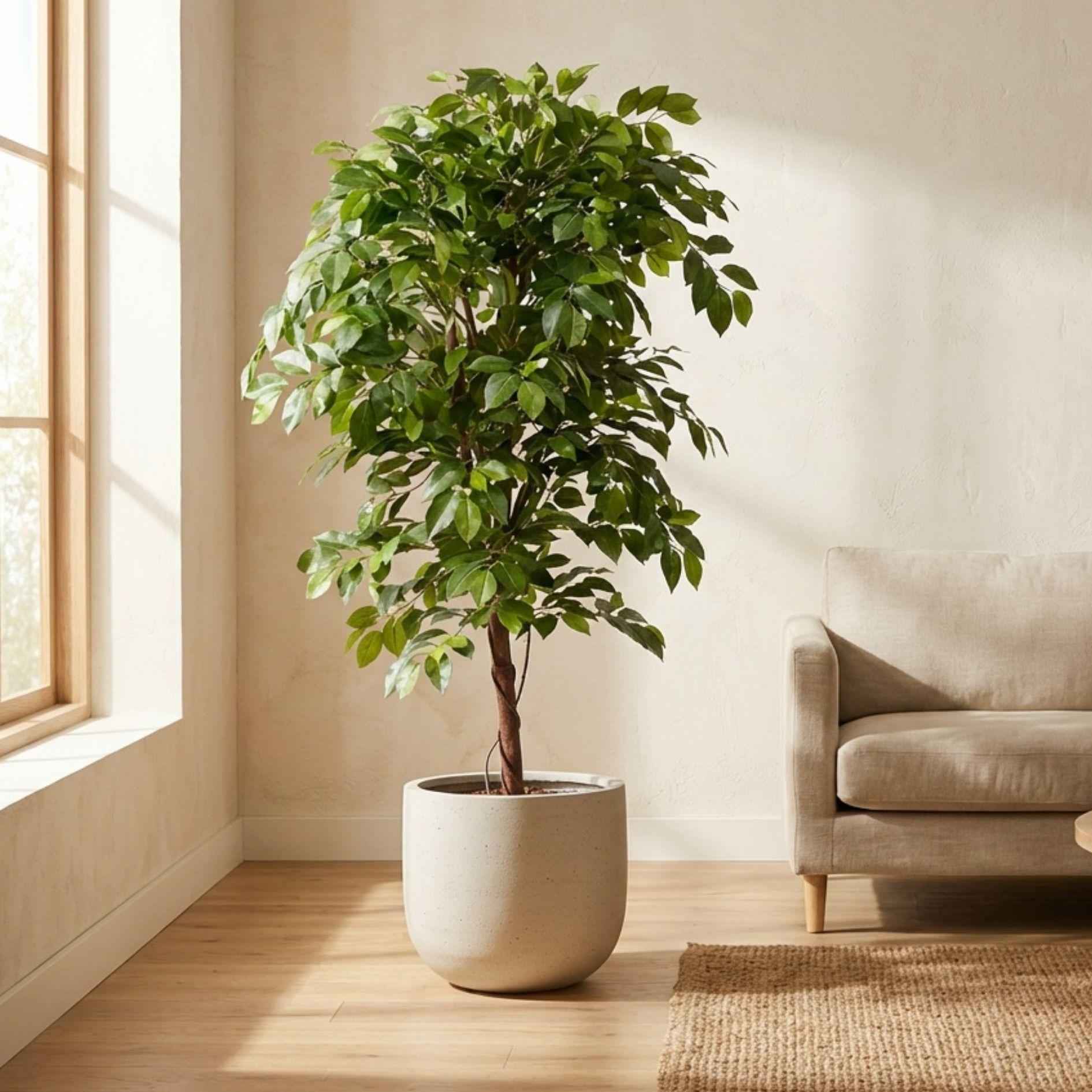 Image of Ficus Deluxe Vine Kunstbaum – 140cm – Realistische Kunstpflanze für Innenräume – Pflegefreier künstlicher Baum mit dichtem Blattwerk-1