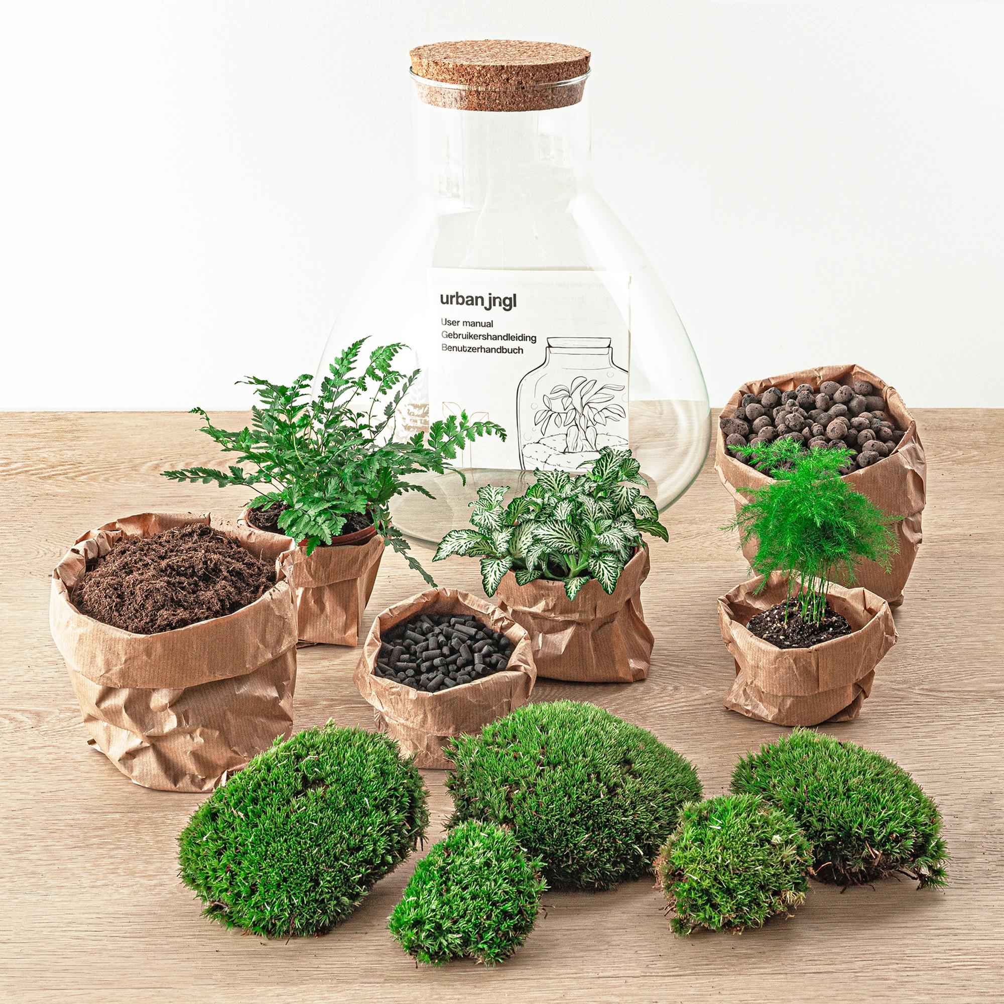 Image of Flaschengarten Sam XL – DIY Bausatz Terrarium – ↕35cm – Do – It – Yourself Pflanzen – Set mit Korkdeckel – Autarkes Mini – Ökosystem-3