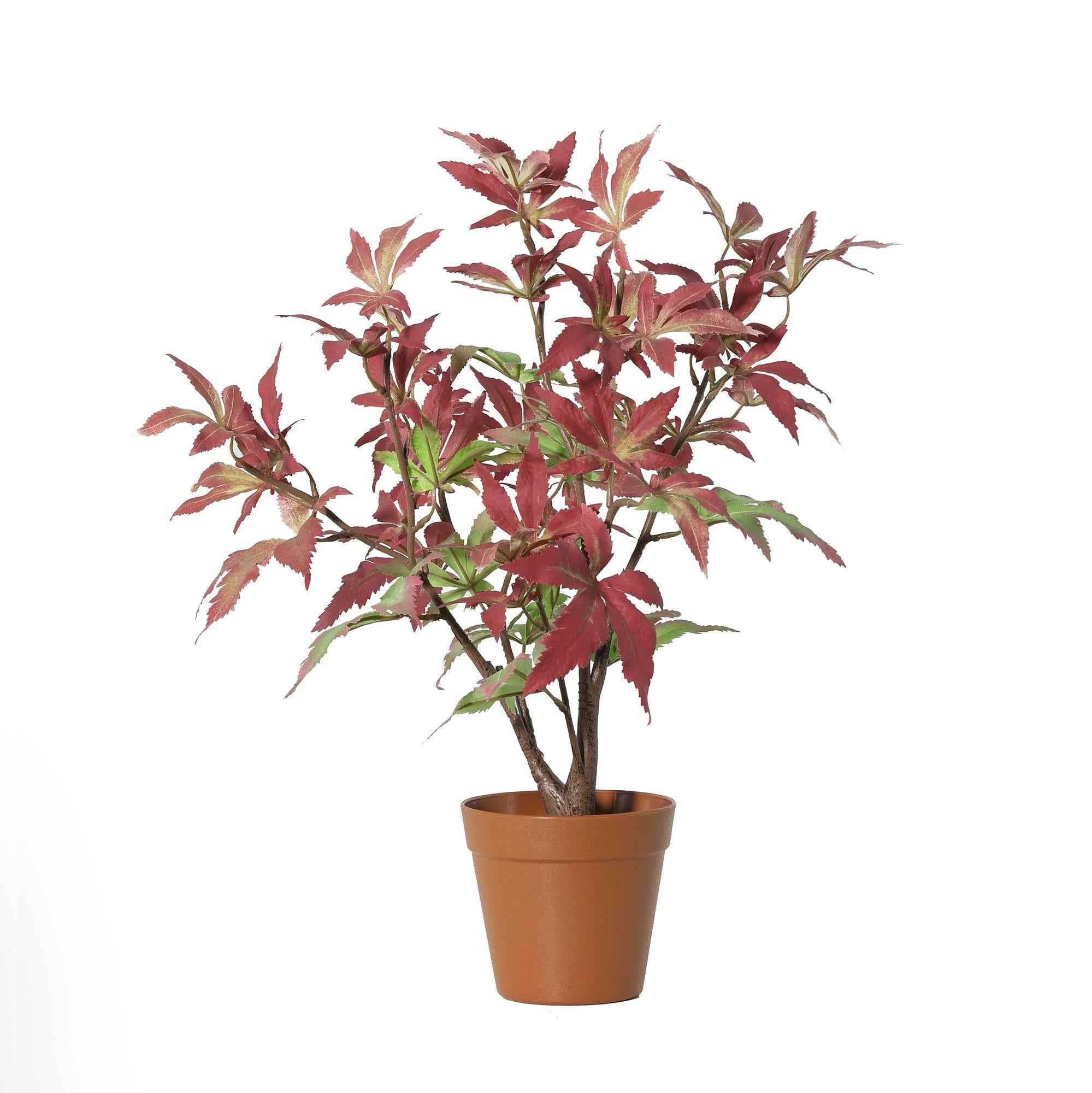 Image of Künstlicher Ahorn Maple 53cm im Topf – realistische Kunstpflanze mit Ahornblatt – Optik – ganzjährig dekorativ, ohne Gießen