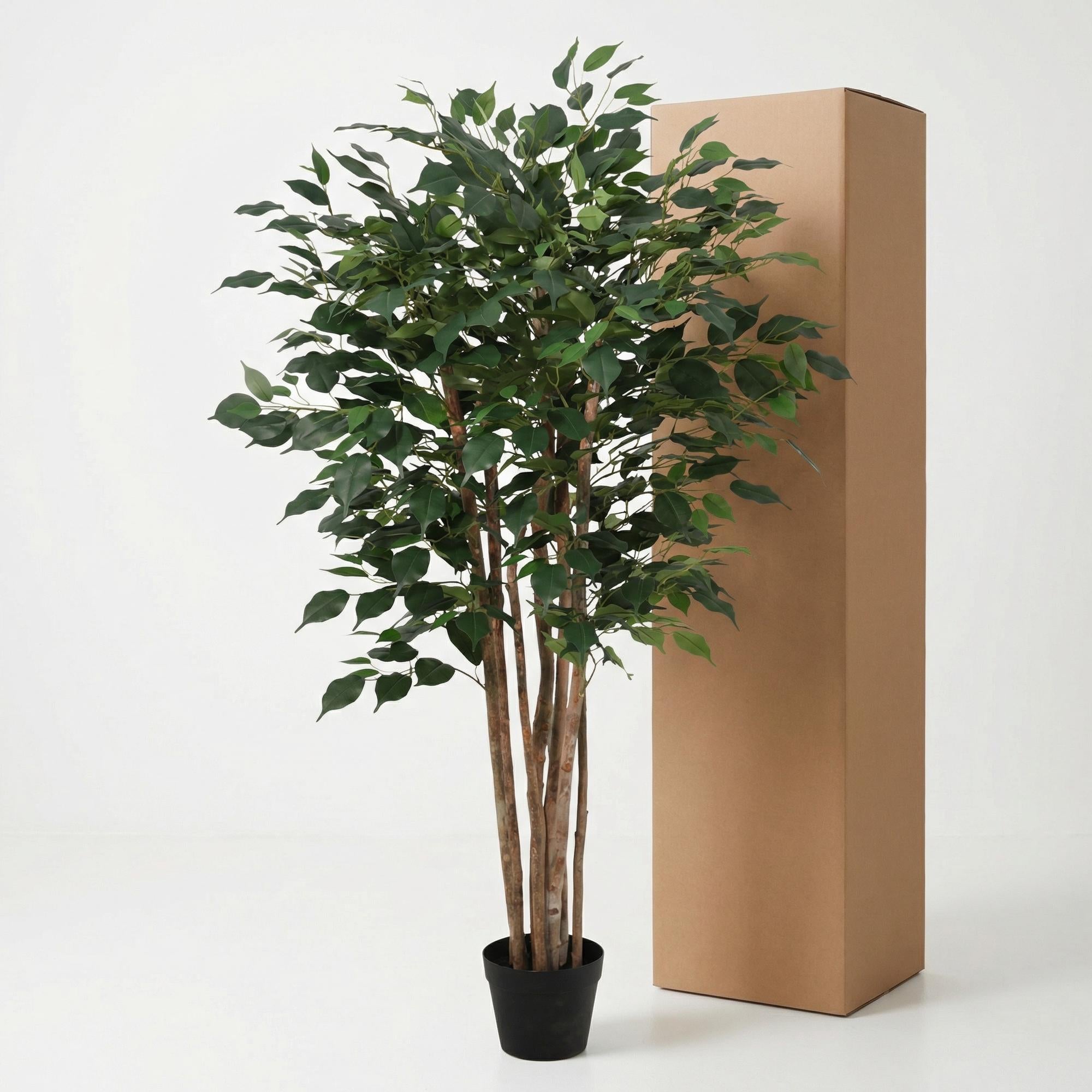 Image of Kunstpflanze Ficus Benjamina 150cm – künstlicher Birkenfeigen – Baum im Topf – realistische Blätter & natürlicher Wuchs – pflegeleichte Grün-2