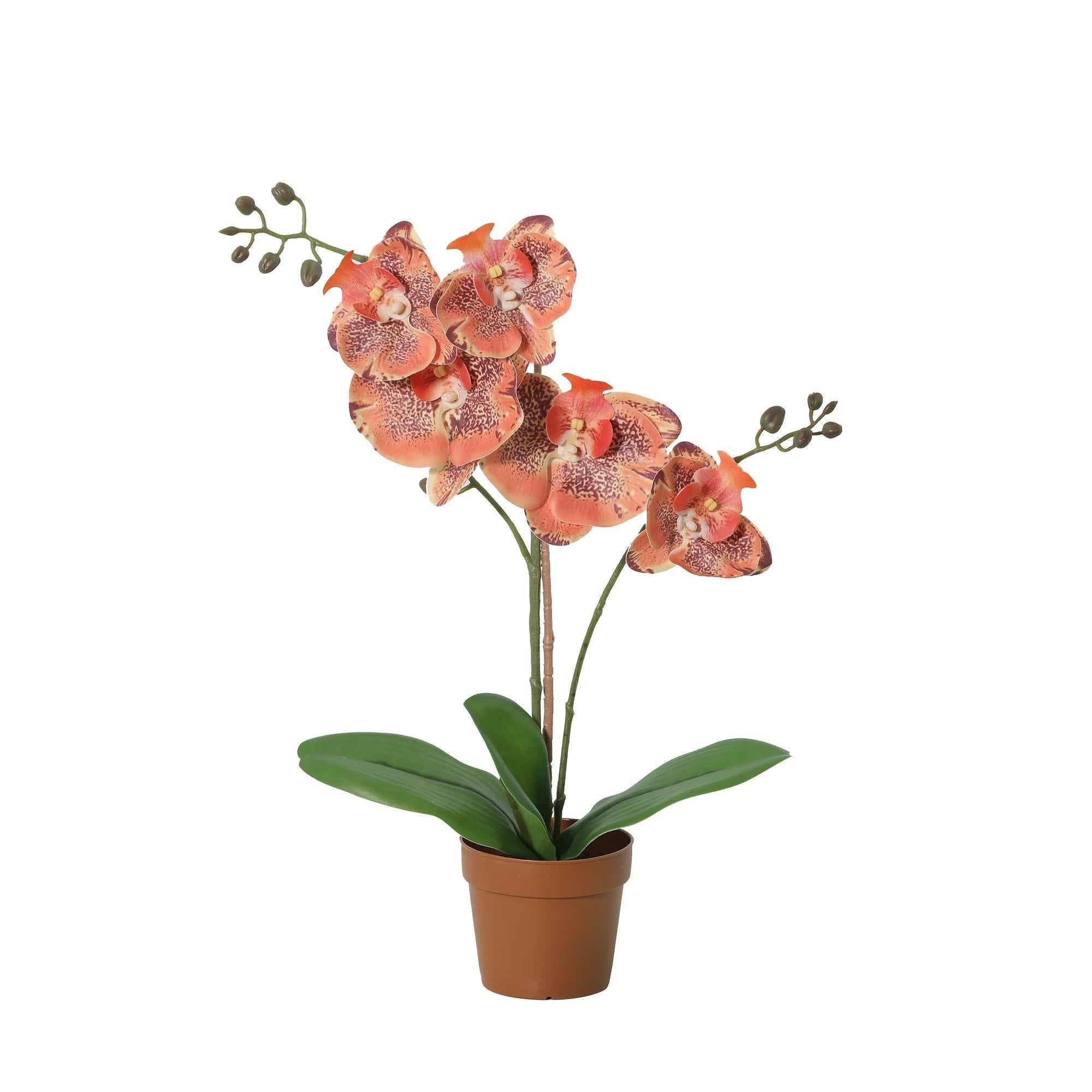Image of Künstliche Phalaenopsis Orchidee orange 41cm Kunstpflanze blühende Orchidee für Wohnzimmer Büro Schlafzimmer Badezimmer pflegefreie Wohnraum Deko-0