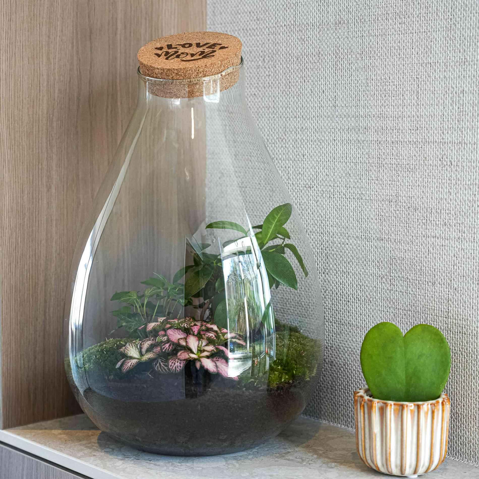 Image of Flaschengarten DIY Set LOVE MOM Terrarium Drop XL Ø24cm Höhe 37cm Muttertagsgeschenk mit graviertem LED Kork pflegeleichts Pflanzenterrarium mit-3