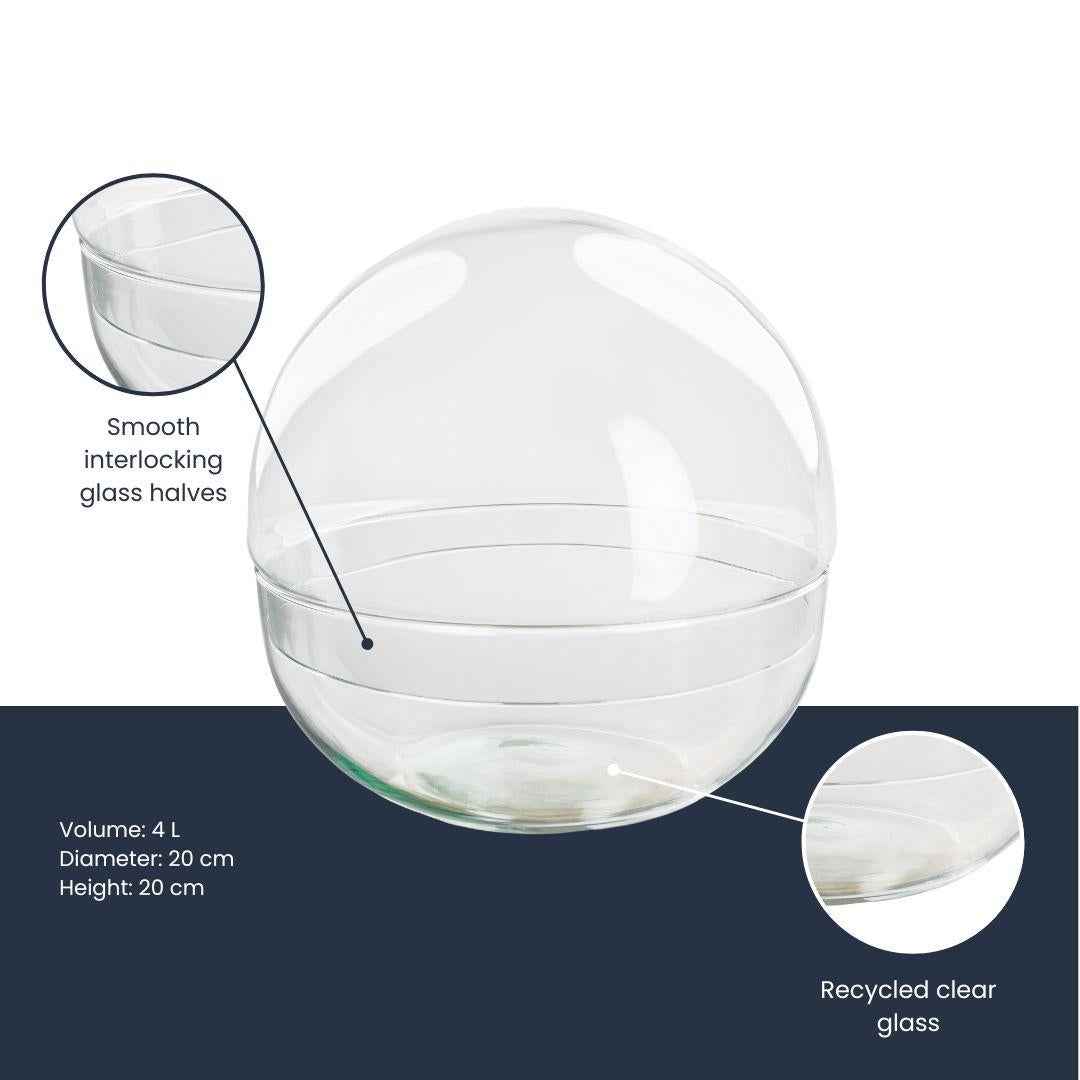 Image of Terrarium – Glaskuppel Dome – zweiteilig – Ø20cm ↕20cm – Runde Glasflasche aus Recyclingglas – Ideal für DIY – Pflanzenterrarien & Mini – Ökosysteme-2