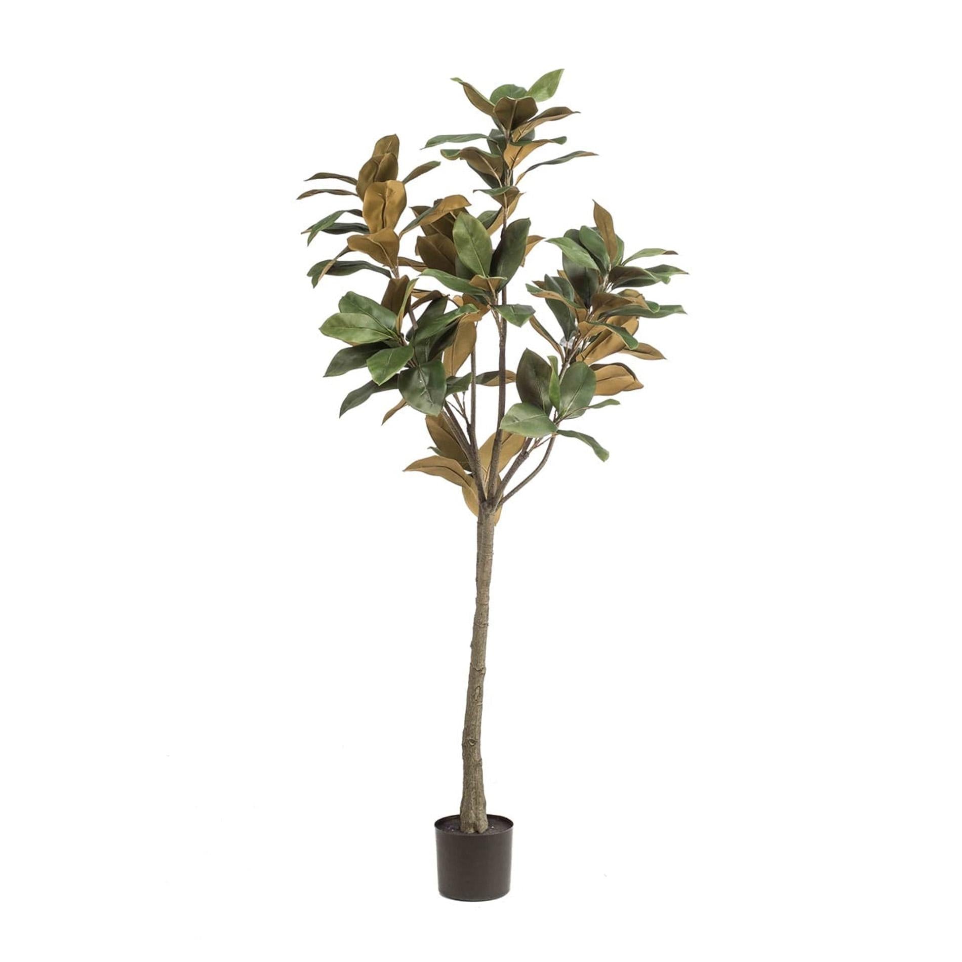 Image of Magnolia Denudata – 150cm Kunstbaum – Künstliche Magnolie Weiß – Pflegeleichte Deko für Zuhause & Büro-0