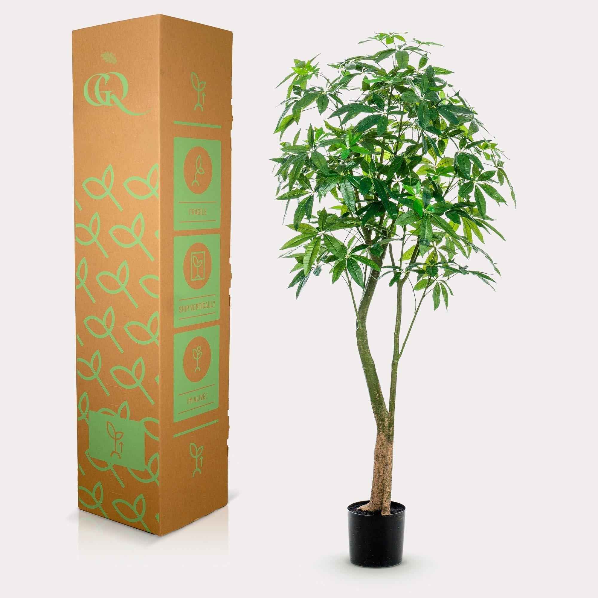 Image of Kunstpflanze Pachira Aquatica – Glückskastanie 180cm – Täuschend echt mit glänzenden Blättern & Doppelstamm