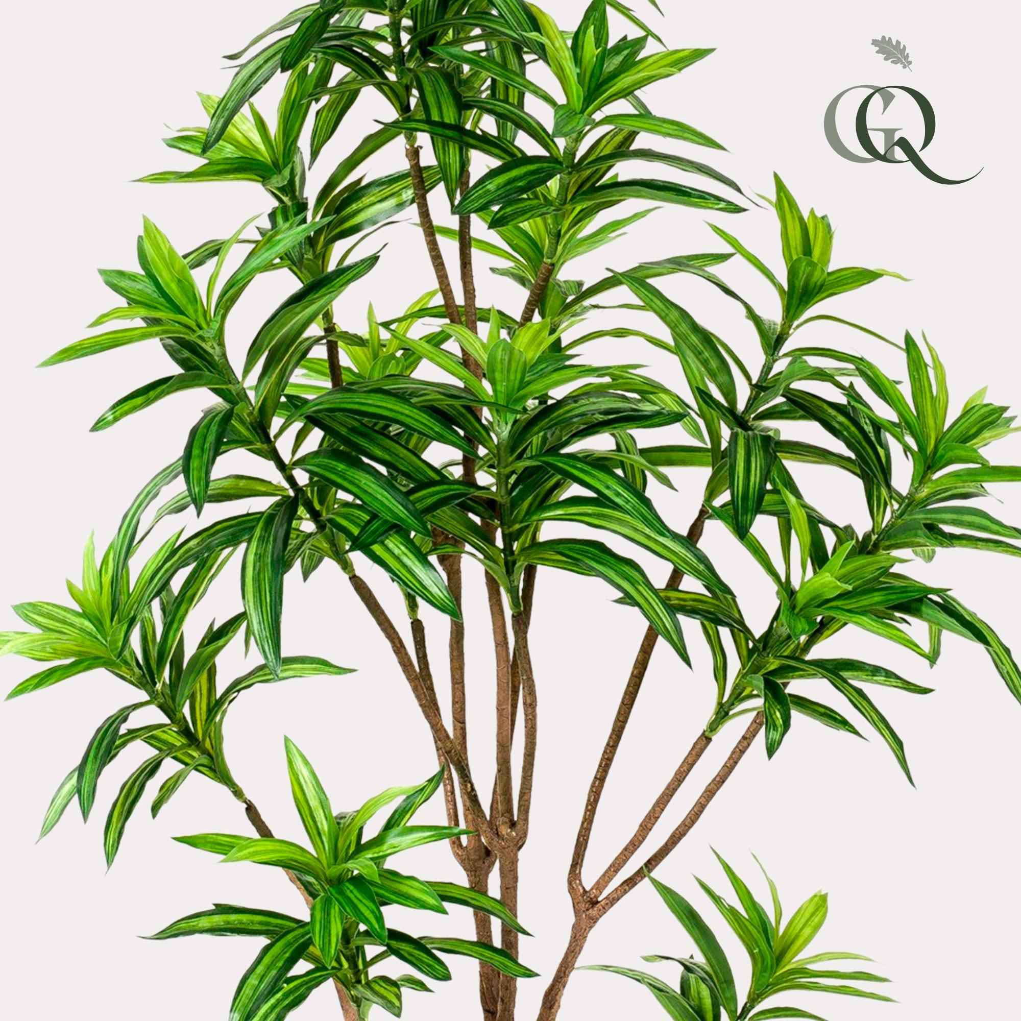 Image of Kunstpflanze Dracaena – Drachenbaum 155cm – Täuschend echt mit zweifarbigen Blättern – Pflegefreier Kunstbaum für Wohnung & Büro