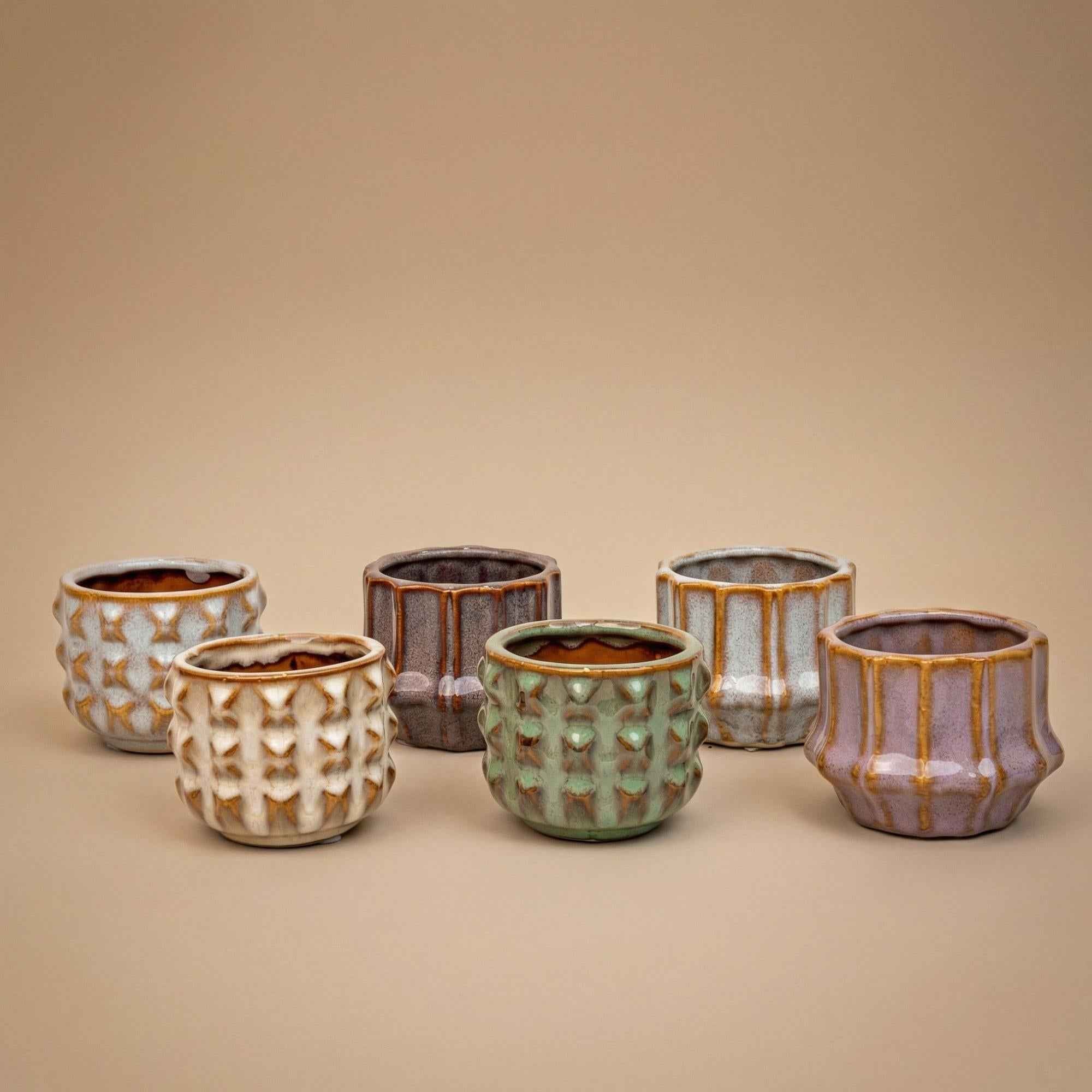 Image of Mini Pflanzen Set 6 Stück im Keramik Topf Set San Juan Ø6cm – Kaktus Mix mit Sukkulenten & Grünpflanzen – inklusive Hoya Kerrii