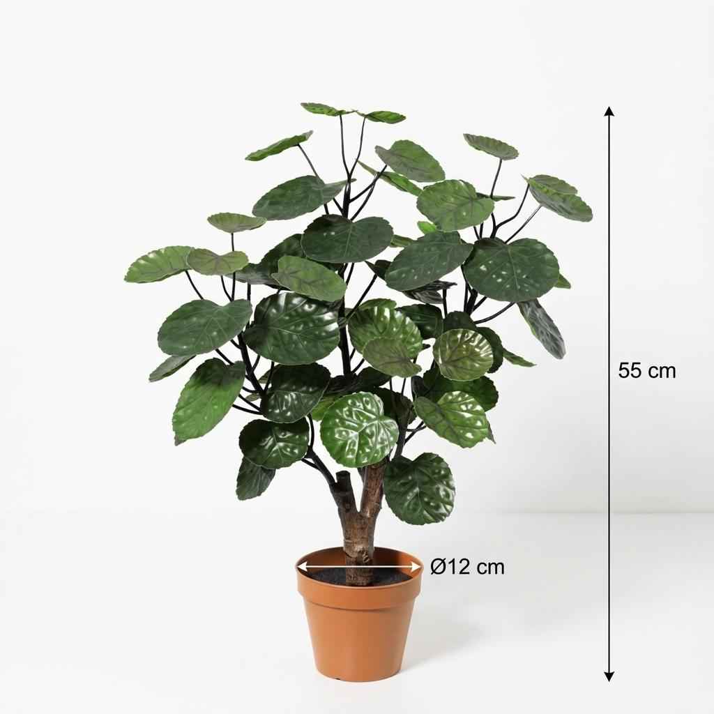 Image of Polyscias Fabian Kunstpflanze 55cm – Dekorative Aralie Deko Pflanze – Pflegefreie Zimmerpflanze für Wohnzimmer Büro & Regal-1