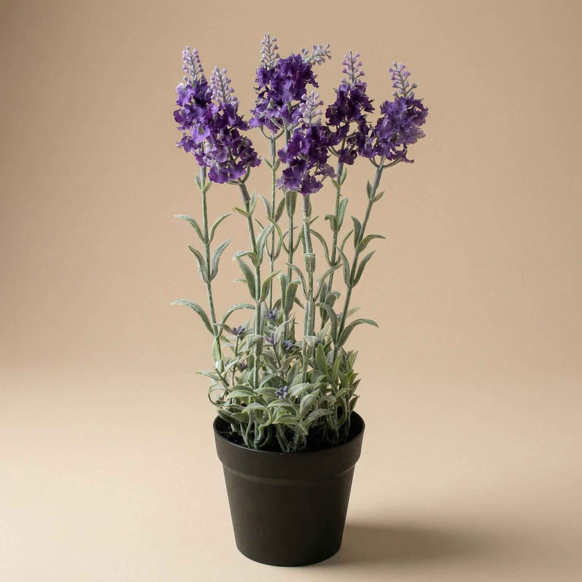 Image of Künstlicher Lavendel im Topf 28cm – violette Kunstpflanze mit naturgrünem Blattwerk – Provence Look ganzjährig-1
