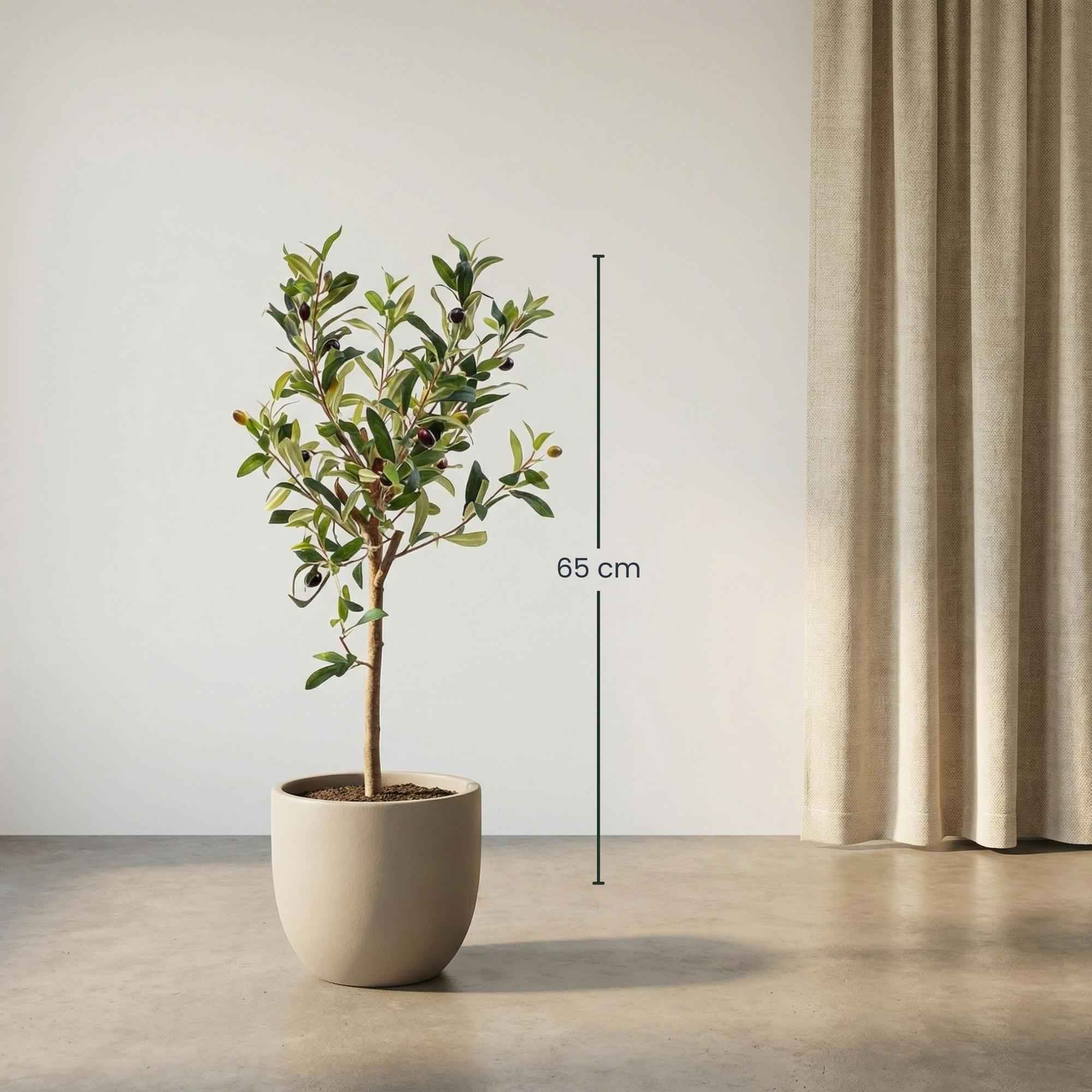Image of Künstlicher Olivenbaum 65cm – Mediterrane Kunstpflanze – Pflegefreie Dekopflanze – Realistische Blätter – Für Wohnzimmer Balkon Büro Schlafzimmer