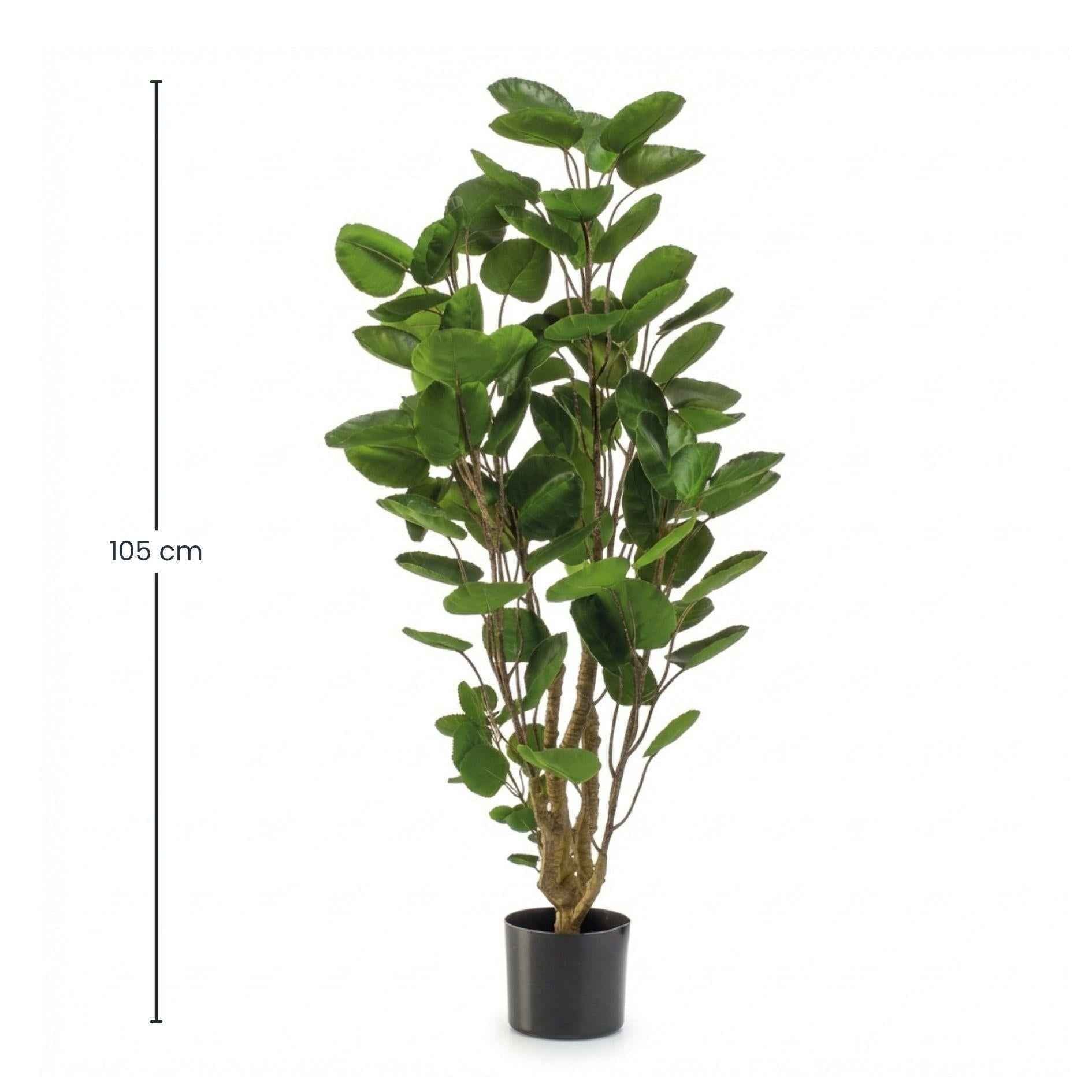 Image of Künstlicher Polysciasbaum 105cm im Topf – realistische Kunstpflanze mit feiner Verzweigung & kompakten Blättern – pflegefreie Zimmerdeko-4