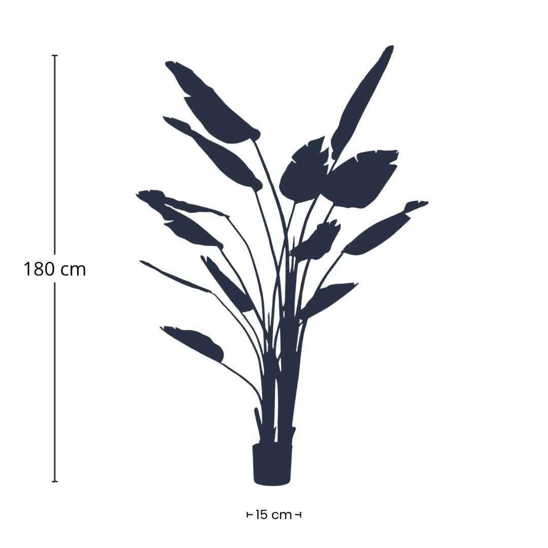 Image of Strelitzia nicolai Kunstpflanze 180cm – XXL Zimmerpflanze mit tropischen Blättern – Pflegefreie Deko-Pflanze für Wohnraum & Büro-3