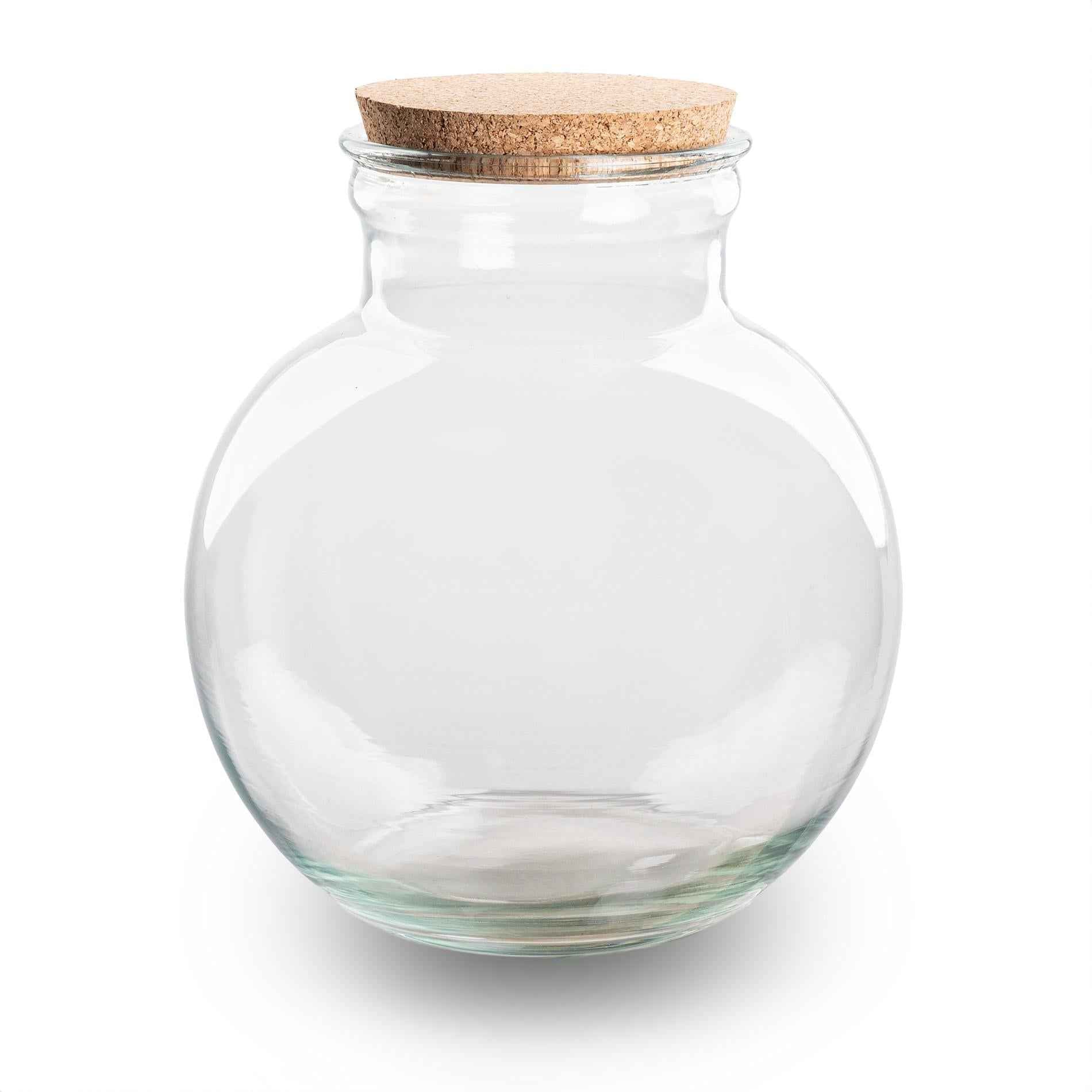 Image of Terrarienflasche Teddy mit Korken – Ø25cm ↕26,5cm – Glasflasche aus Recyclingglas – ca. 7L Volumen – Für DIY – Terrarien & Mini – Ökosysteme-0