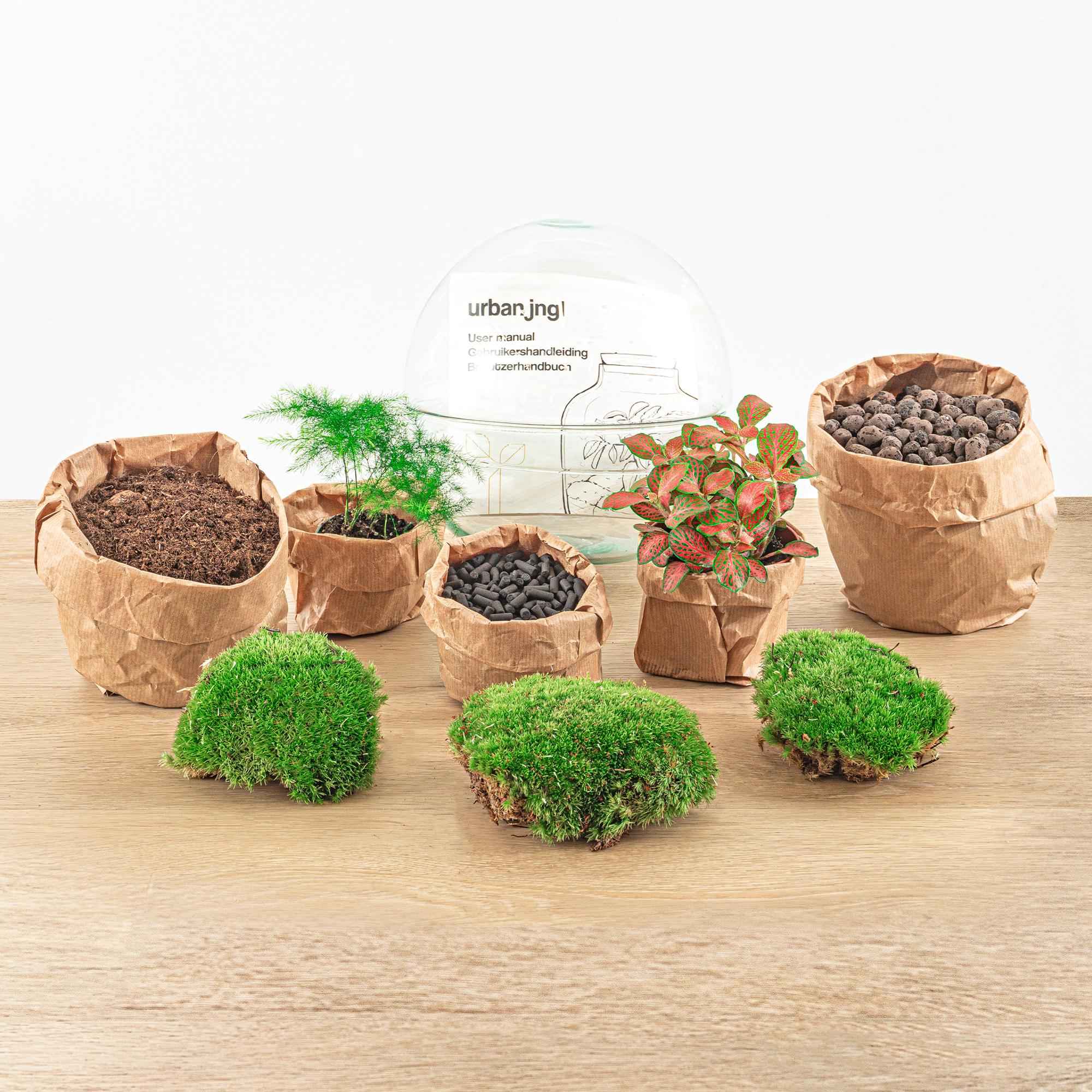 Image of DIY Flaschengarten Set – Dome Glas Rot – Ø20cm x H20cm – Selbstversorgendes Pflanzterrarium mit Fittonia, Spargel & Moos – Mini – Pflegeleicht-2