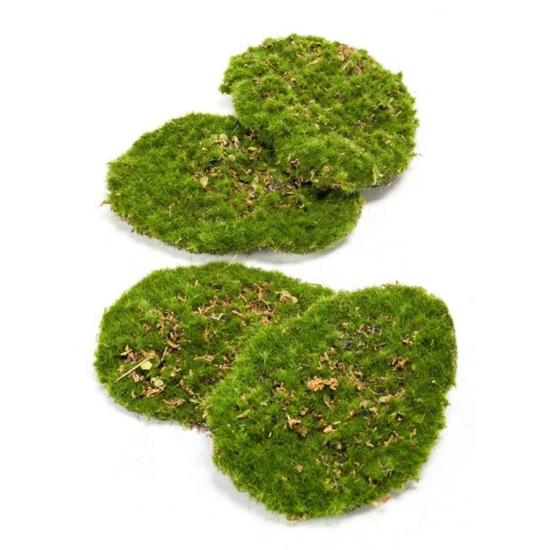 Image of Moos 4er Set – Künstliches Moos 16x12cm – Realistische Moosplatten aus hochwertigem Kunststoff – Wartungsfrei-0