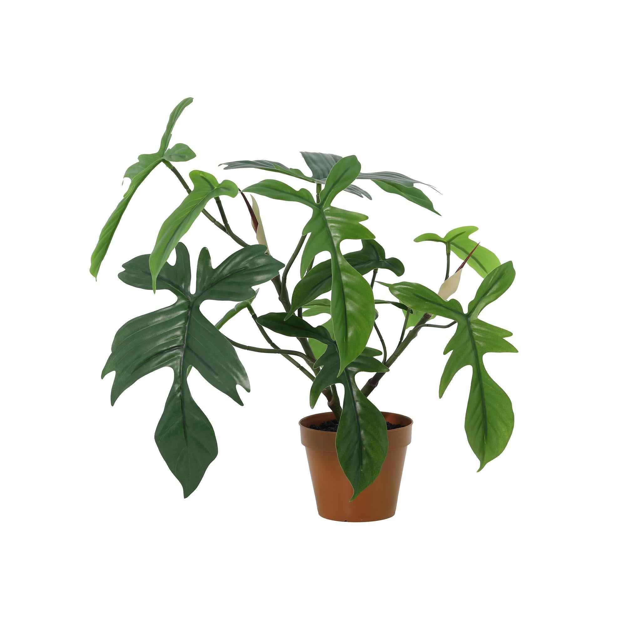 Image of Künstlicher Philodendron Florida 44cm im Topf – realistische Kunstpflanze mit dekorativen gelappten Blättern – pflegefreie Zimmerdeko-0