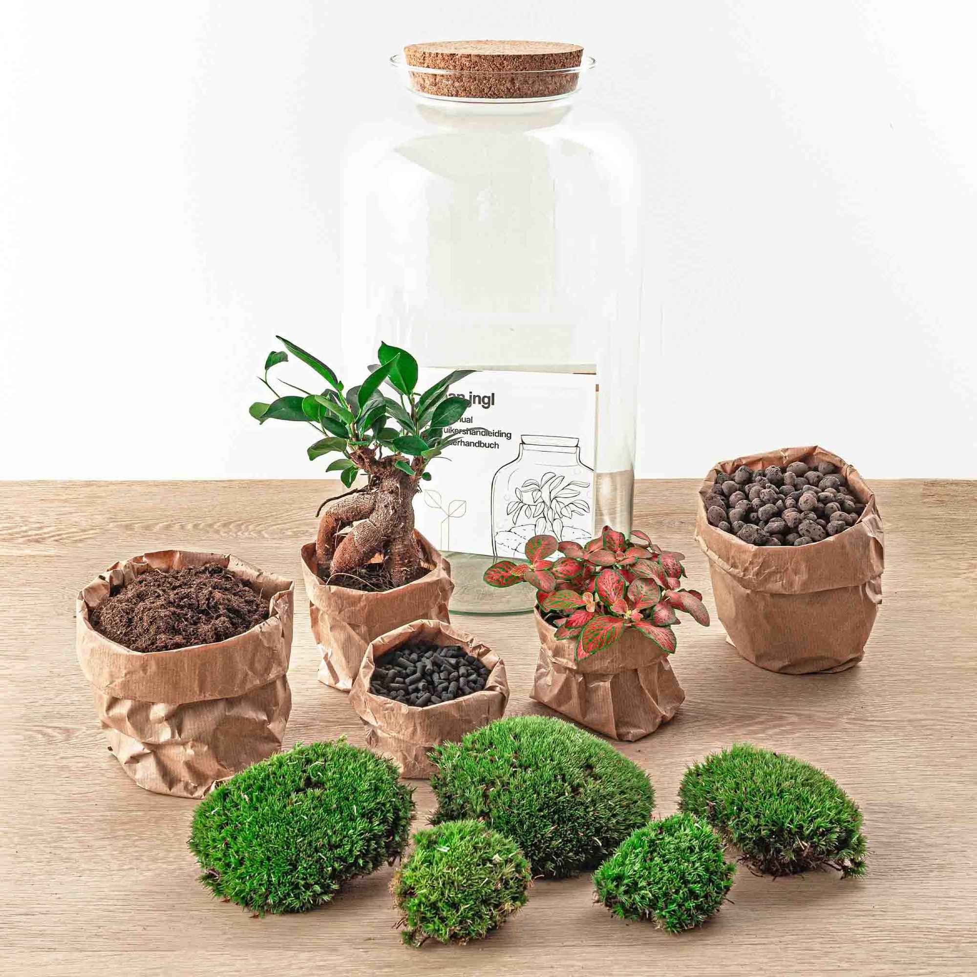 Image of Flaschengarten Sven Bonsai – DIY Bausatz Terrarium – ↕43cm – Do – It – Yourself Pflanzen – Set im Glas mit Korkdeckel – Autarkes Mini – Ökosystem