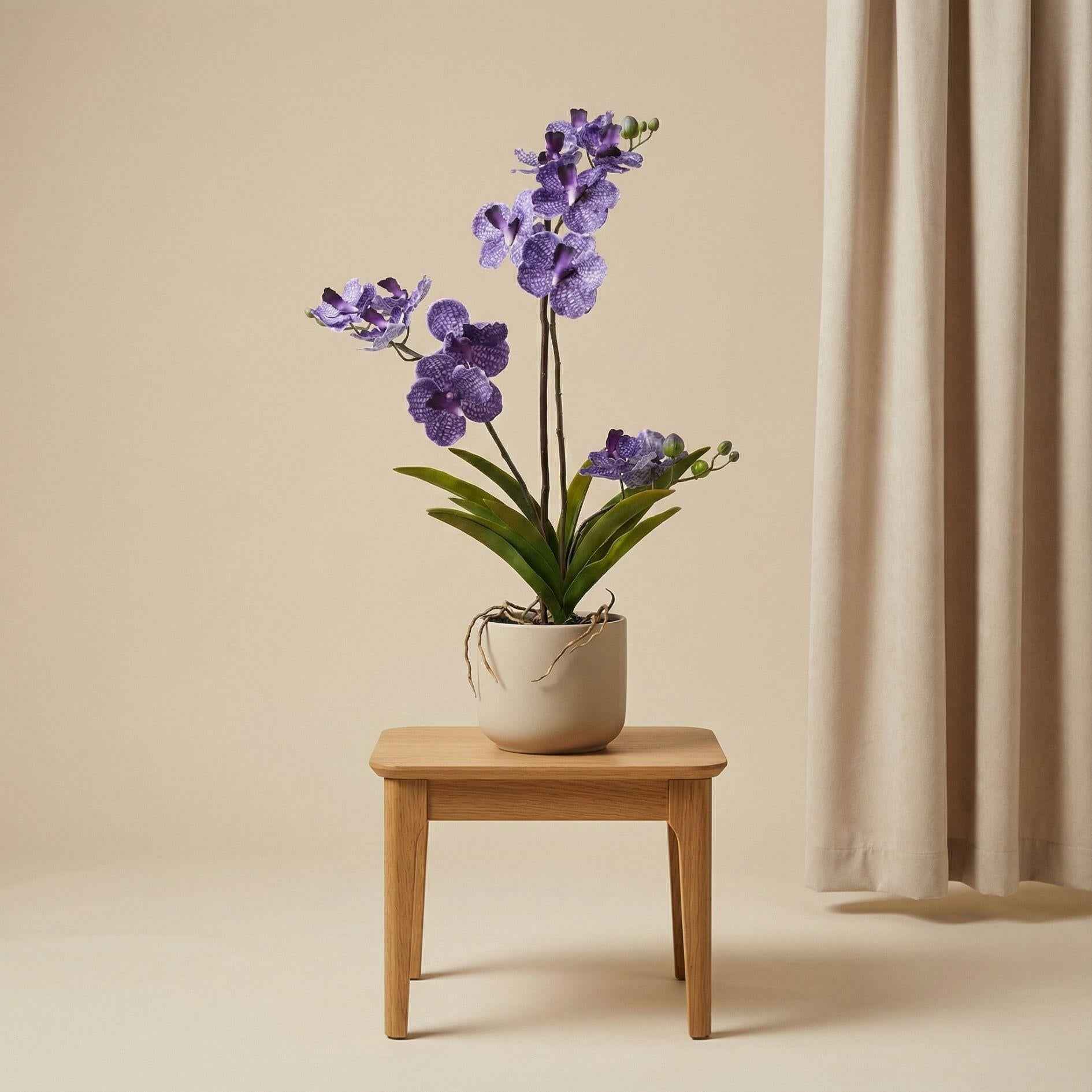 Image of Orchidee Vanda Kunstpflanze – ca.60cm – Violett – Künstliche Orchidee im Topf – Pflegefreie Dekopflanze für Wohnzimmer Büro & Empfang-3