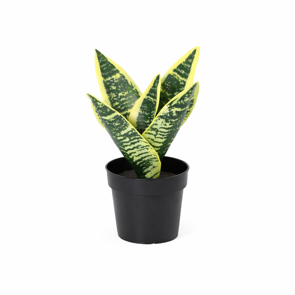 Image of Künstliche Sansevieria Laurentii 21cm Kunstpflanze Bogenhanf für Zimmer Büro Badezimmer Regal pflegefreie grüne Wohnraum Deko kompakte Kunstpflanze-0