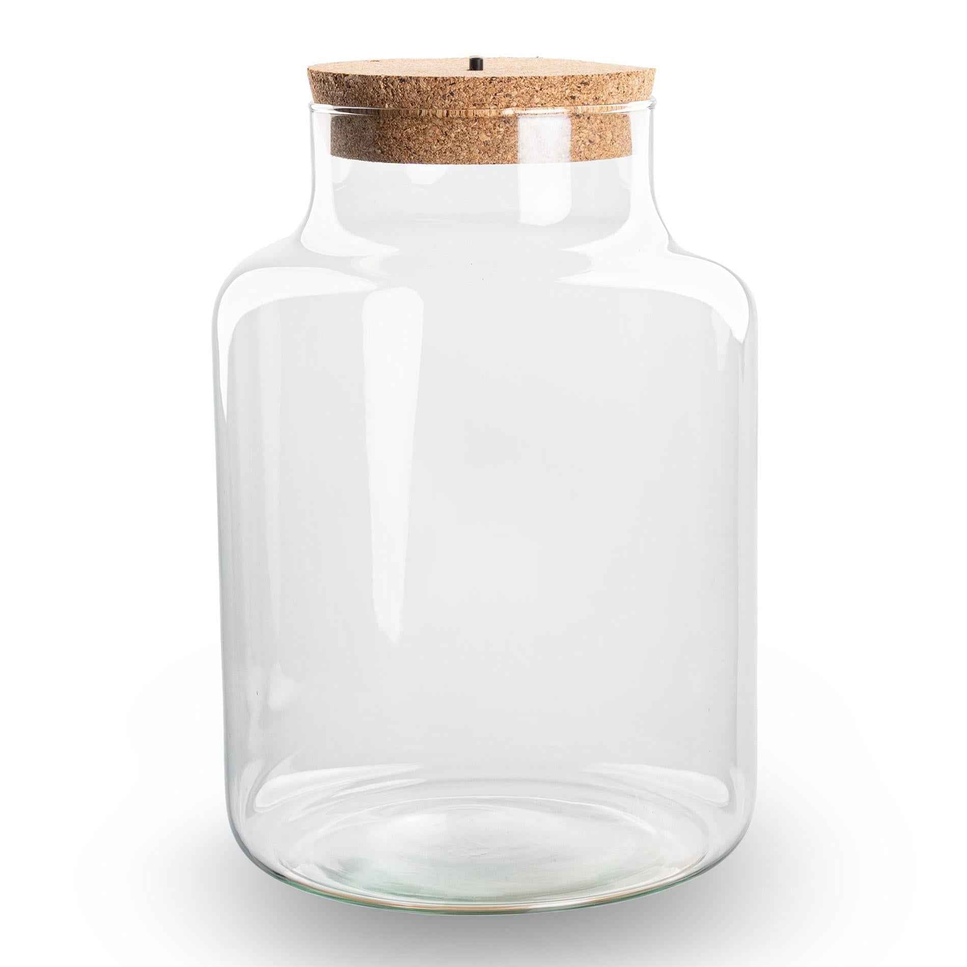 Image of Terrarium Flasche – Geschlossene Glasflasche mit Korken & LED – Beleuchtung – Höhe 24,5cm Ø17cm – Dekoratives Pflanzenterrarium aus Recyclingglas-2