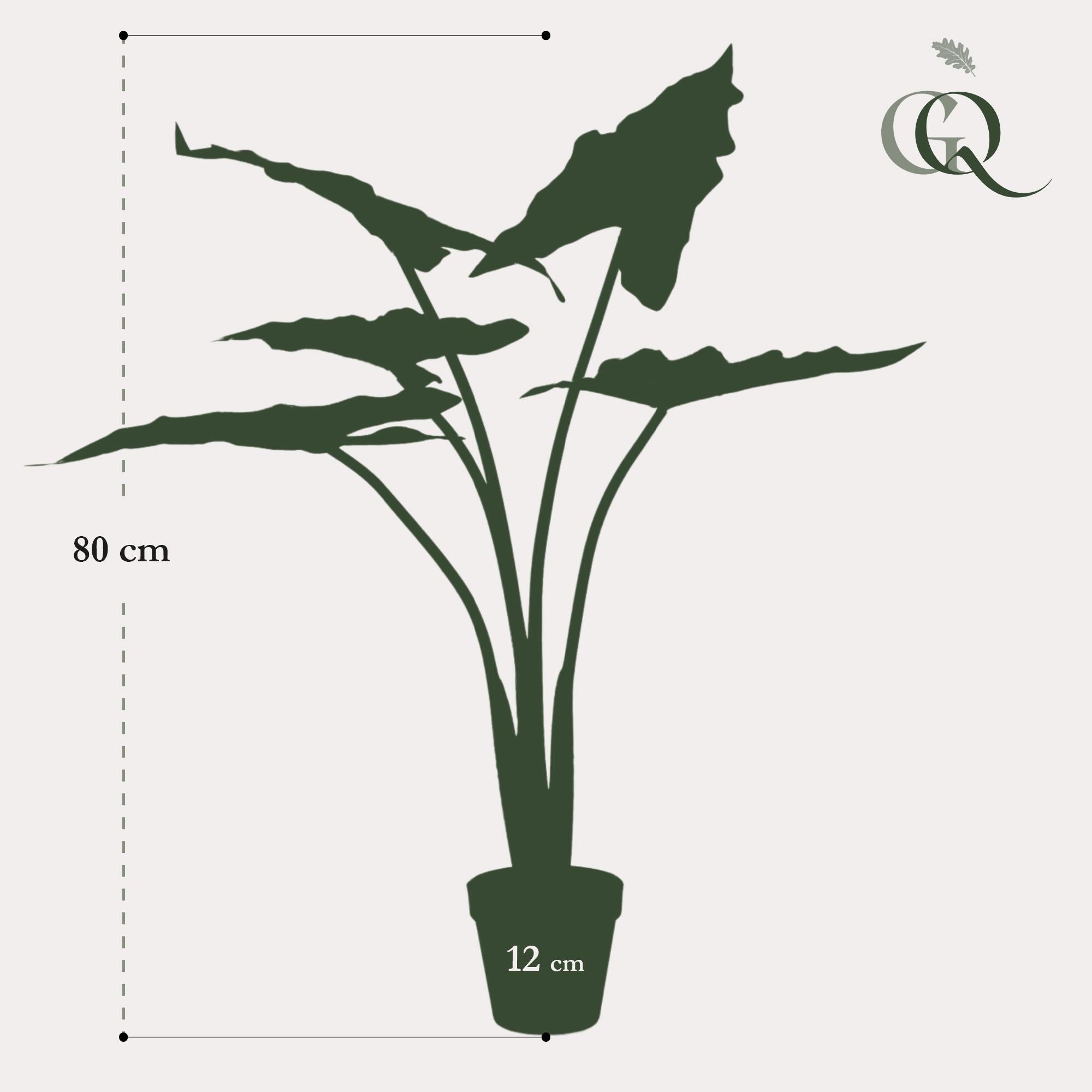 Image of Kunstpflanze Alocasia Frydek – 80cm – künstliche Zimmerpflanze mit naturgetreuen Blättern – Immergrün & pflegeleicht – Dekopflanze für Zimmer & Büro-3