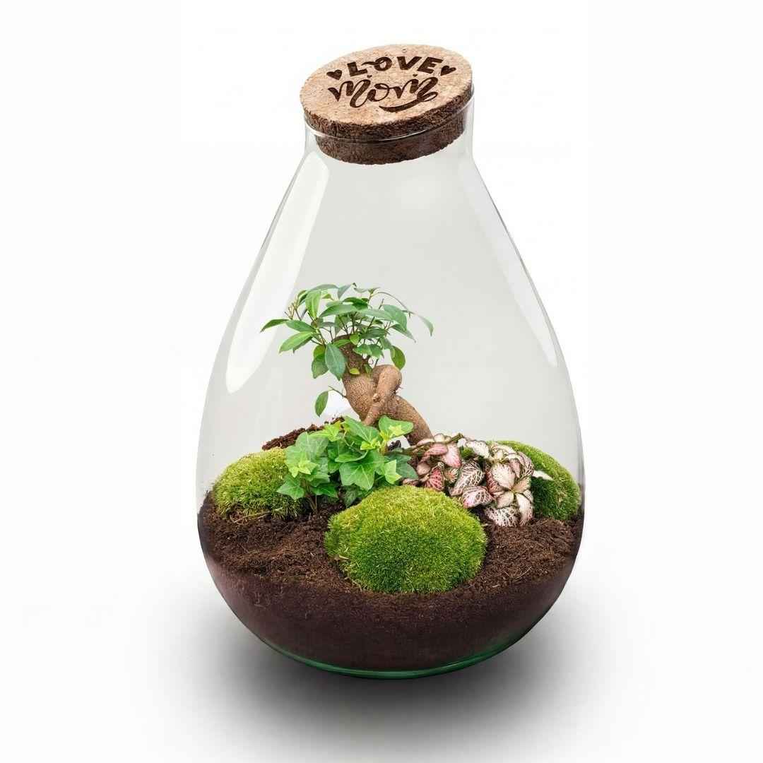 Image of Flaschengarten DIY Set LOVE MOM Terrarium Drop XL Ø24cm Höhe 37cm Muttertagsgeschenk mit graviertem LED Kork pflegeleichts Pflanzenterrarium mit-0