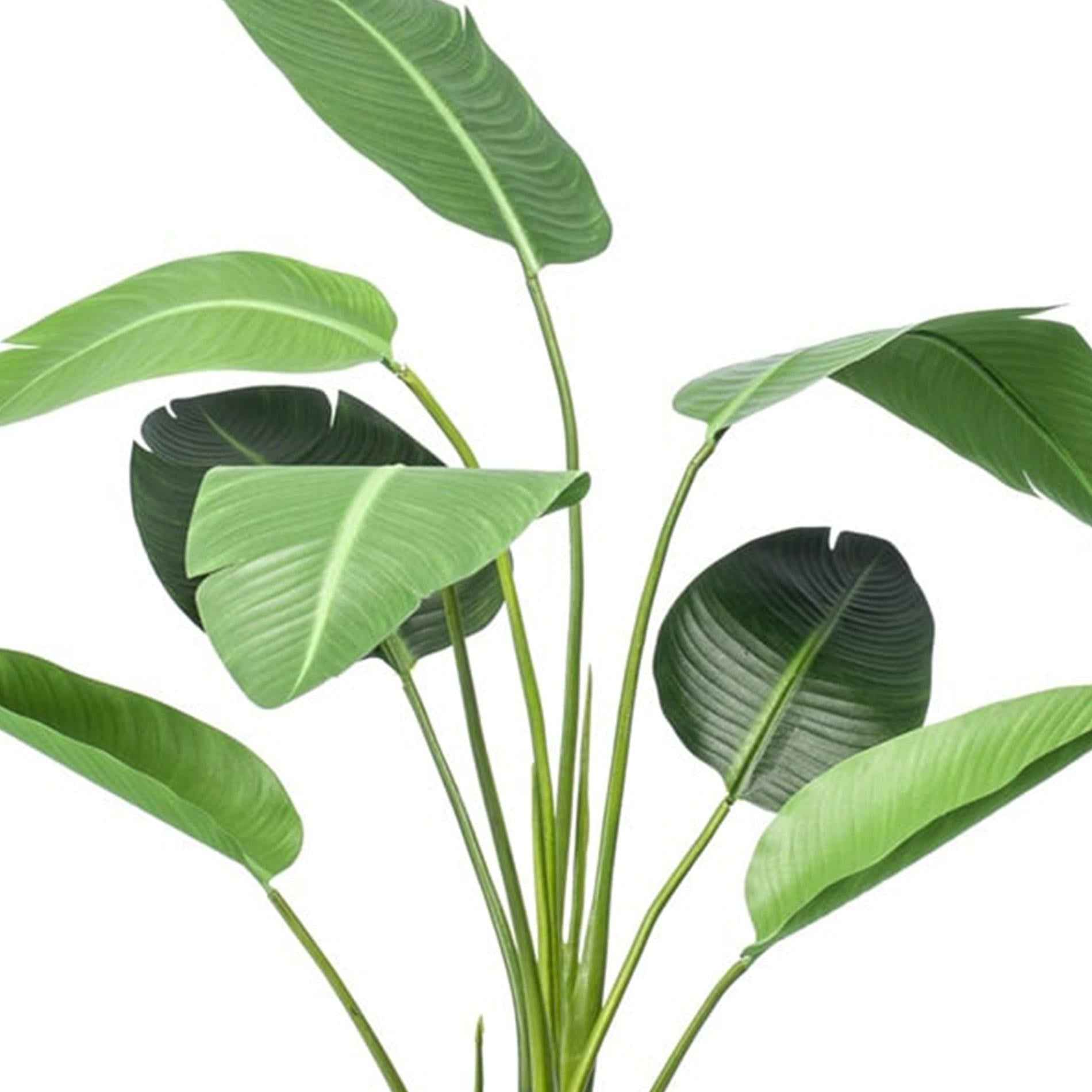 Image of Strelitzia Kunstpflanze – 120cm – schwarzer Topf – Tropischer Zimmerpflanzen – Look ohne Pflege – Große Deko-Pflanze für Wohnzimmer, Büro & Flur-2