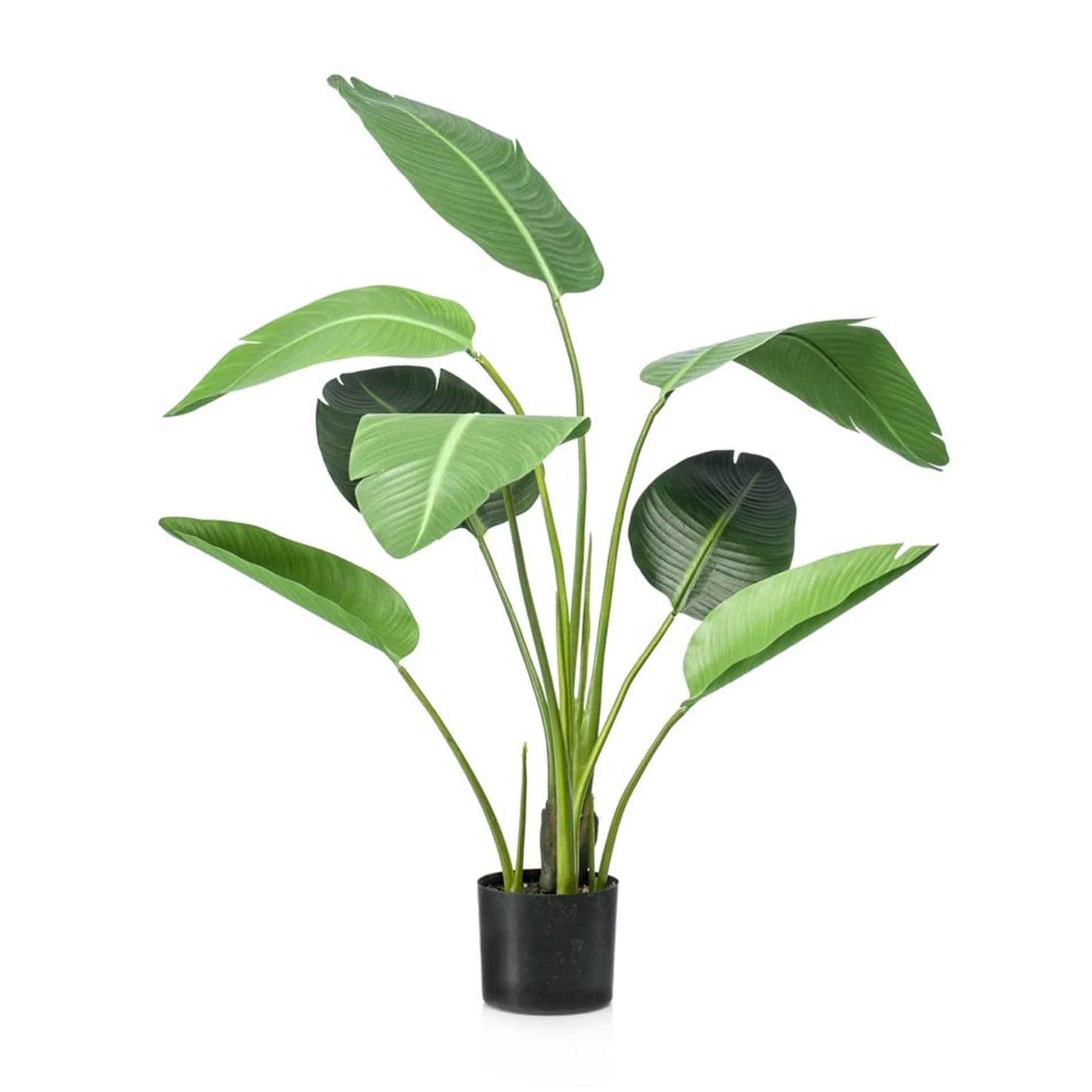 Image of Strelitzia Kunstpflanze – 120cm – schwarzer Topf – Tropischer Zimmerpflanzen – Look ohne Pflege – Große Deko-Pflanze für Wohnzimmer, Büro & Flur-0