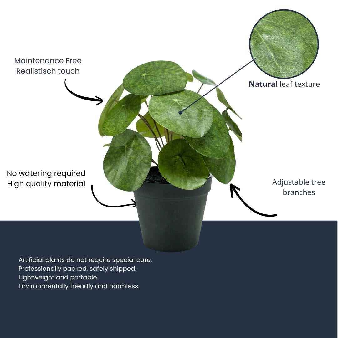 Image of Pilea Kunstpflanze Busch – ca.25cm – Im schwarzen Topf – Realistische künstliche Zimmerpflanze – Pflegefreie Deko für Fensterbank Regal & Büro-1