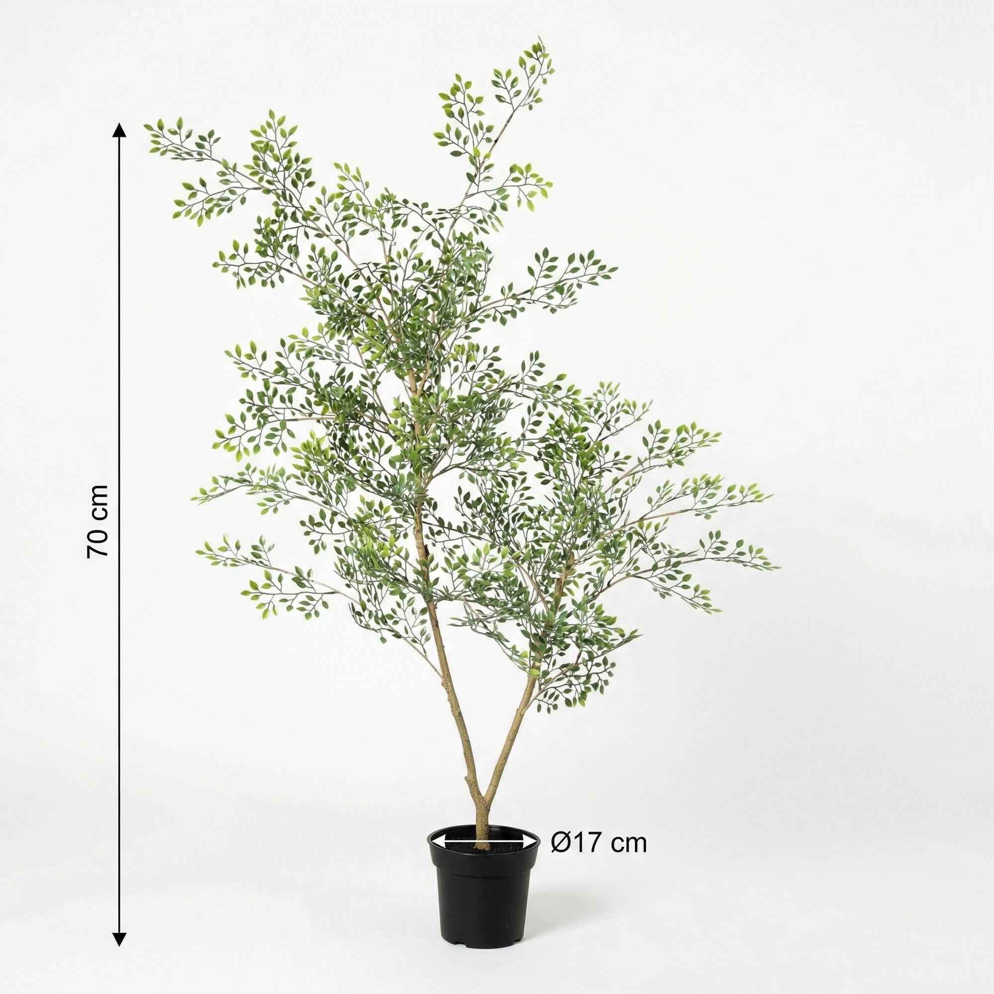 Image of Kunstpflanze Bucida 71cm – künstliche Grünpflanze – realistische Blätter & natürlicher Wuchs-1