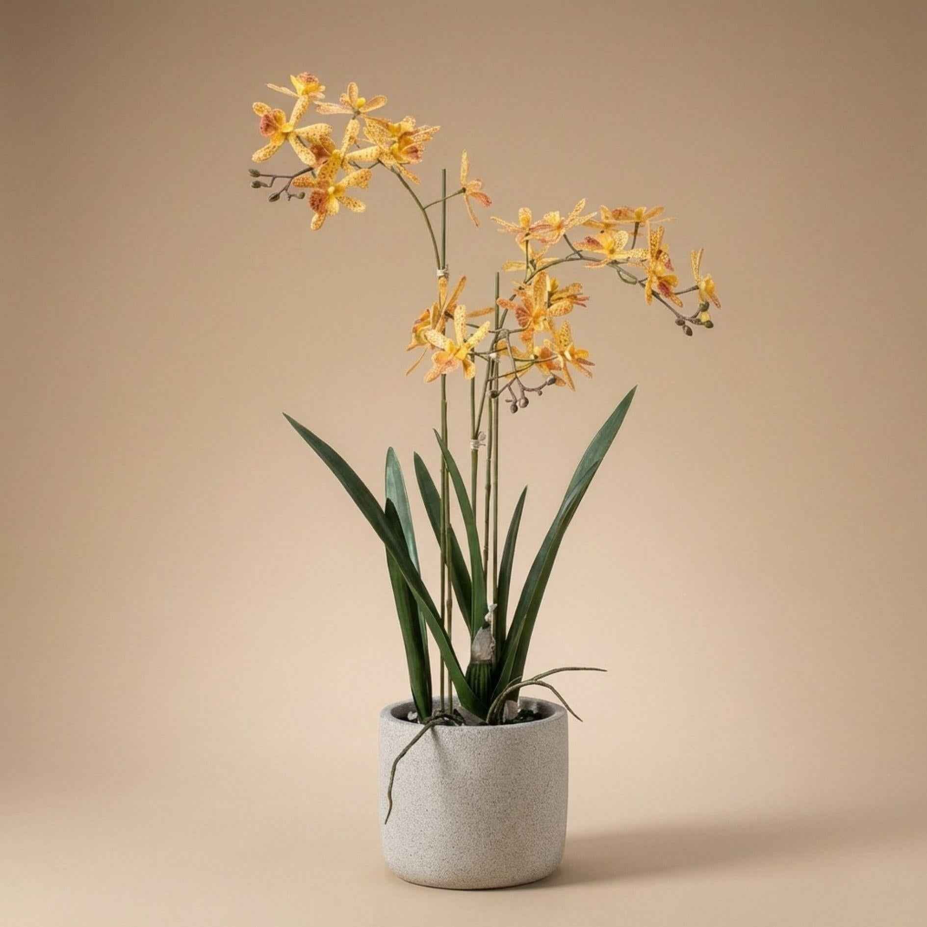 Image of Renanthera Orchidee künstlich 56cm im Topf – gelb orange blühende Kunstpflanze im grauen Topf-3